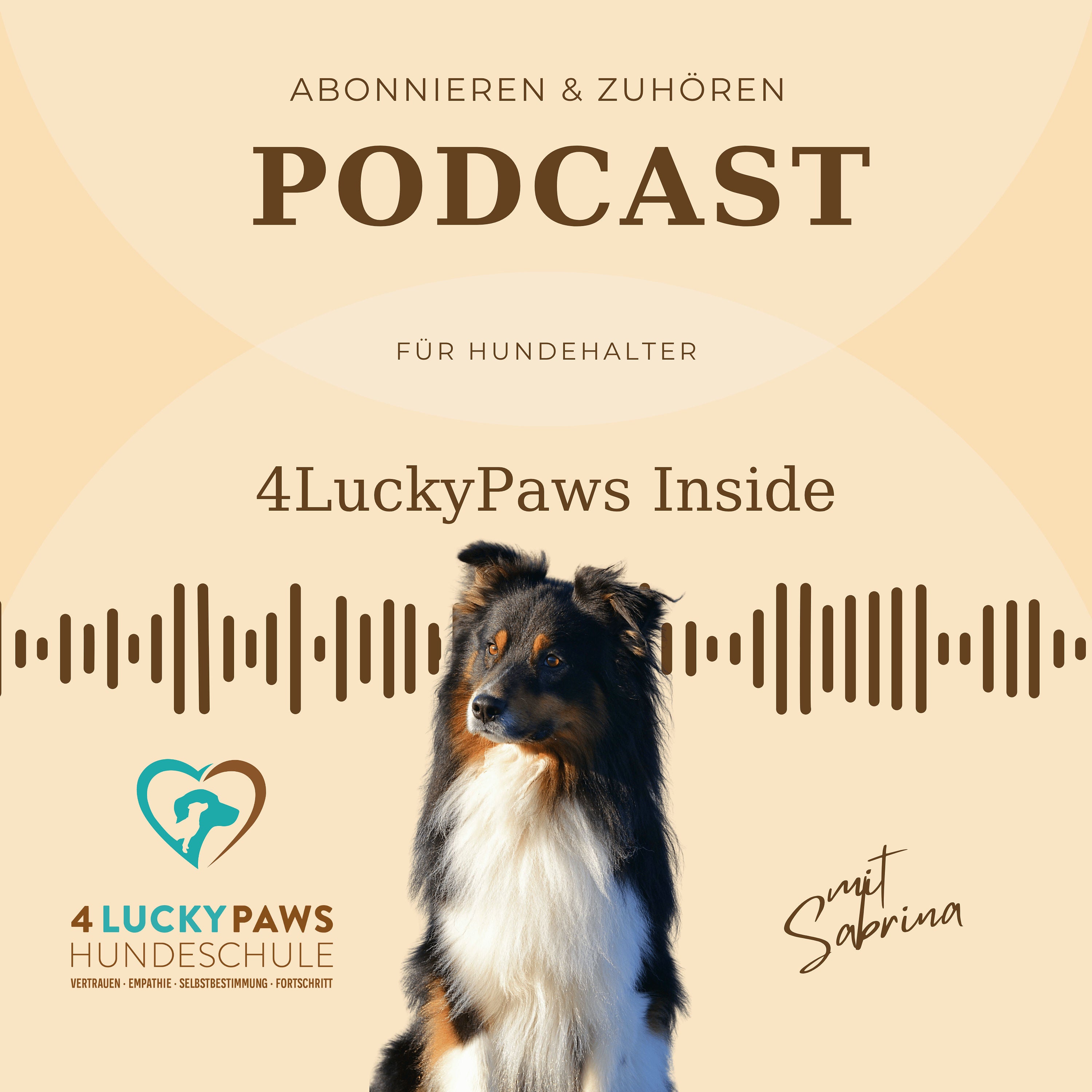 4LuckyPaws Inside