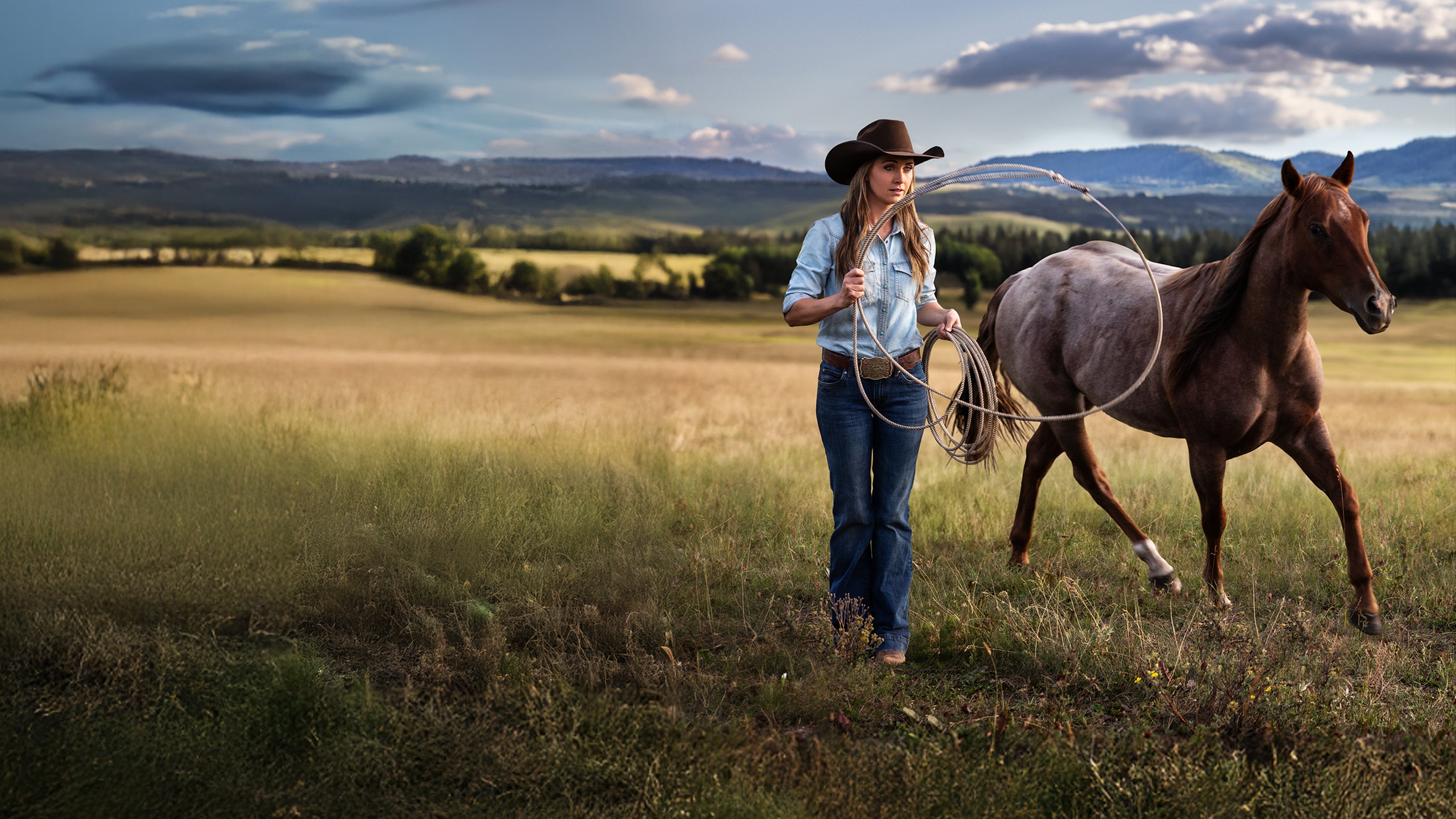 Heartland - Paradies für Pferde