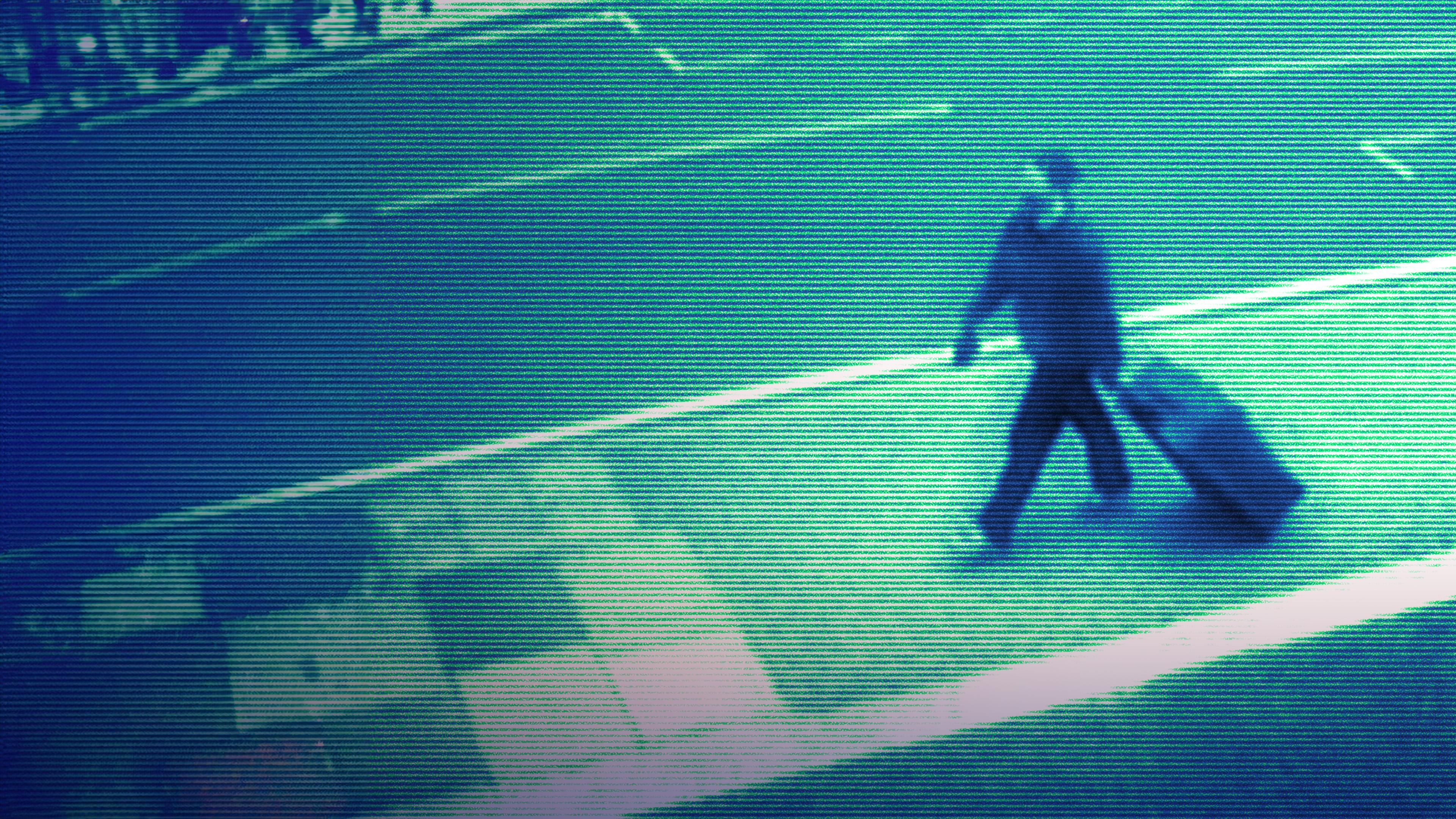 Body in the Suitcase - Die Tote im Koffer