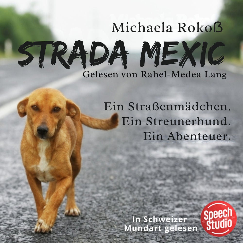 Strada Mexic