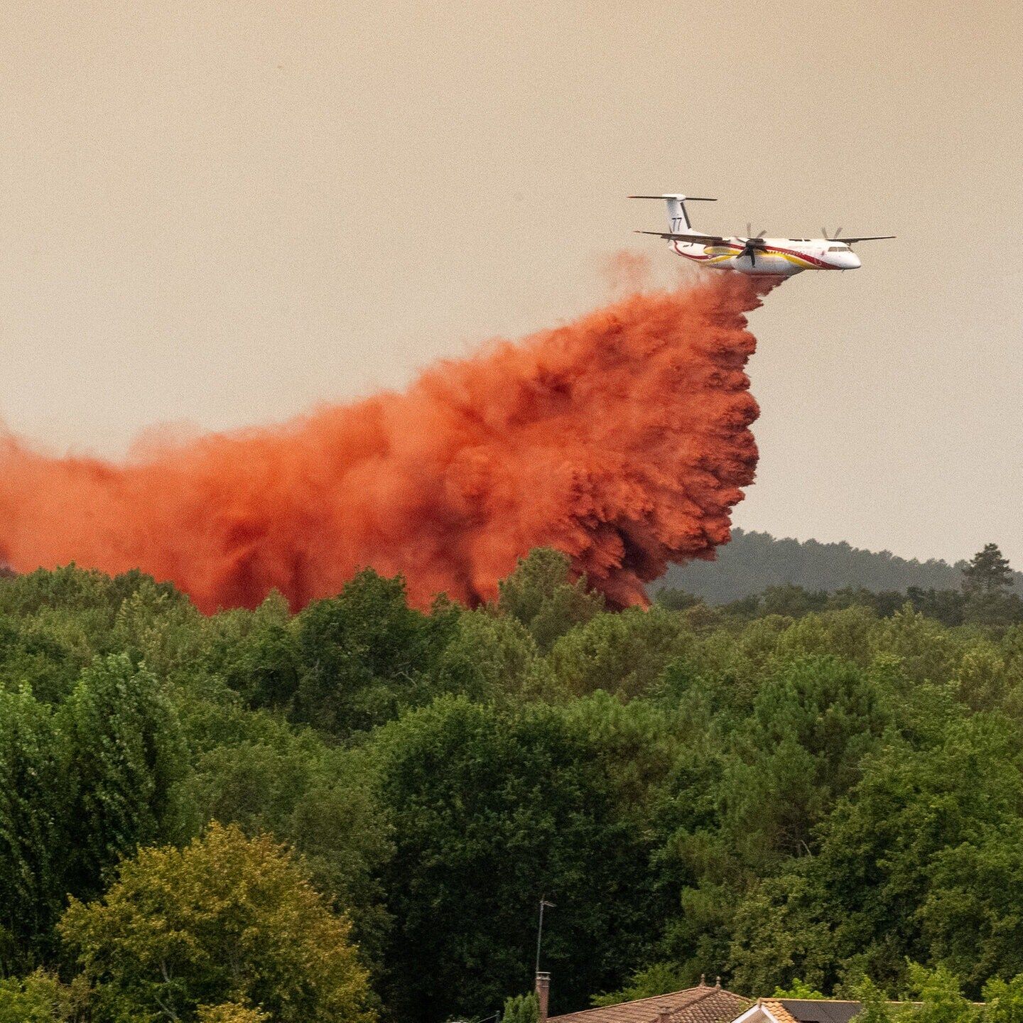 Europa im Waldbrand-Dilemma