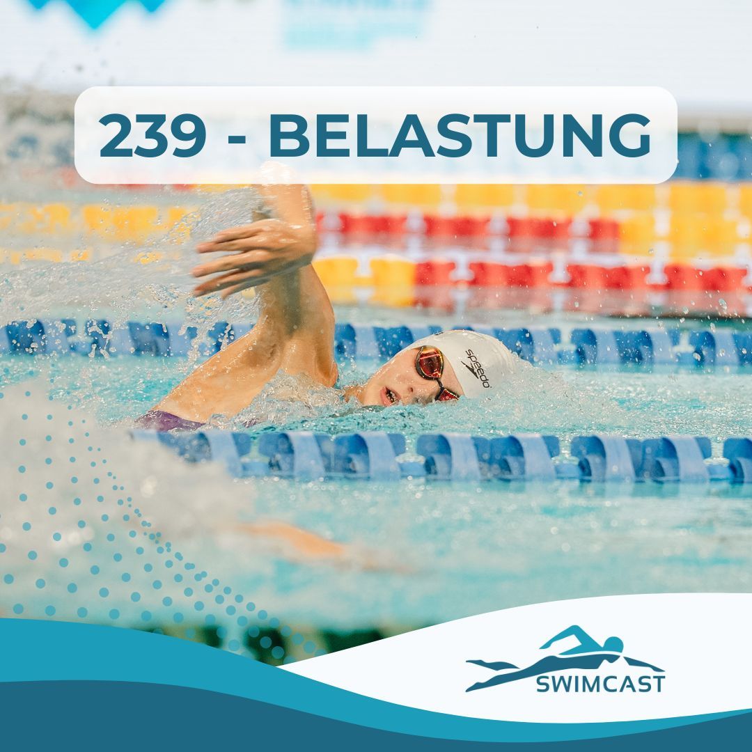 239 - Belastung