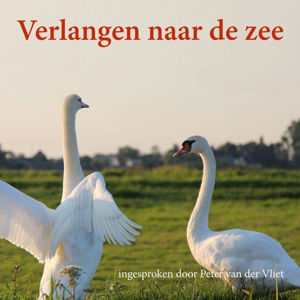 Verlangen Naar De Zee