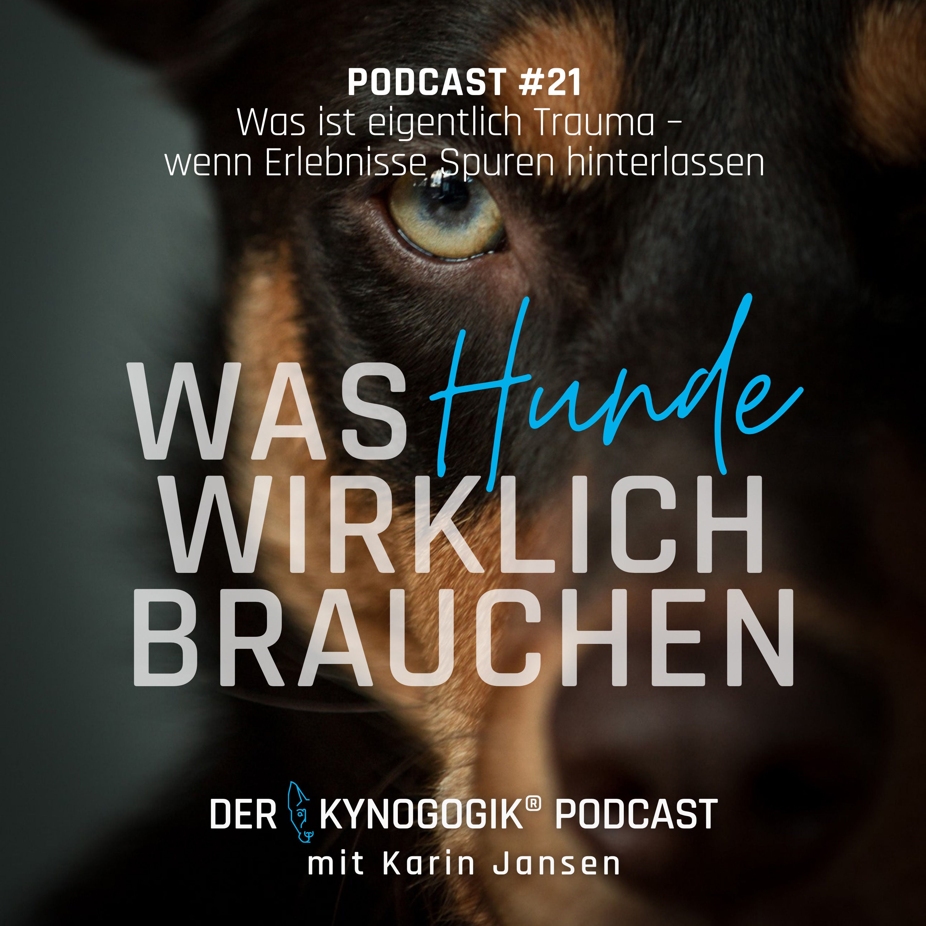 Was ist eigentlich ein Trauma?
