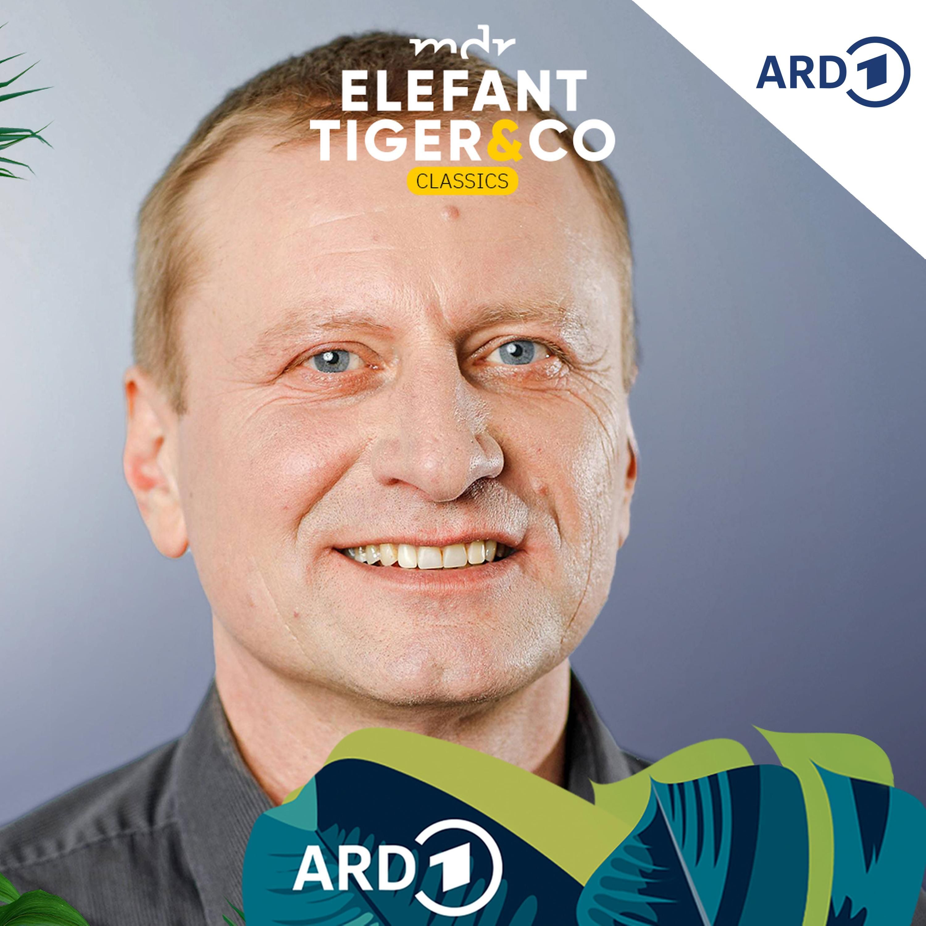 ETC Classics - mit Jörg Gräser