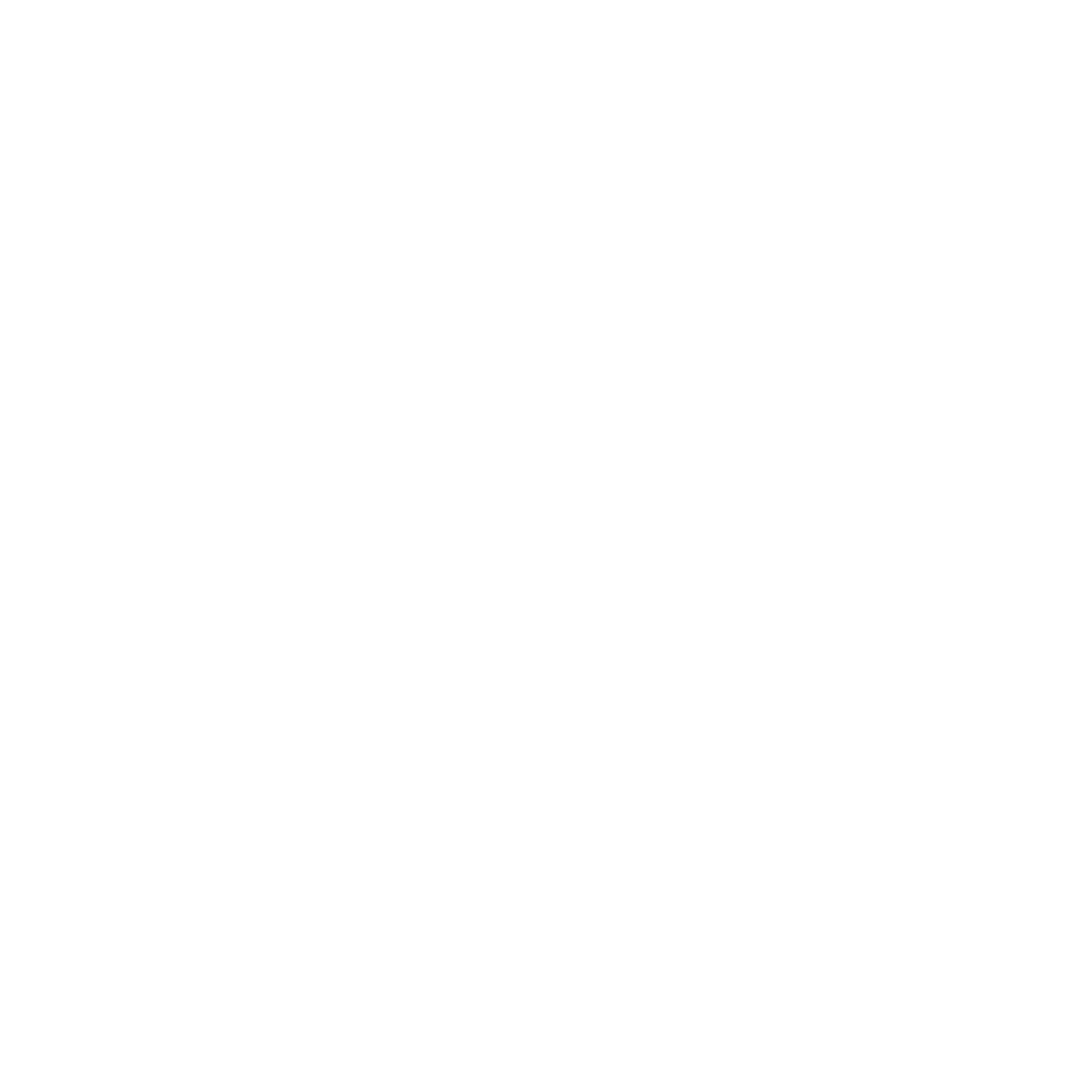 Die Bergretter