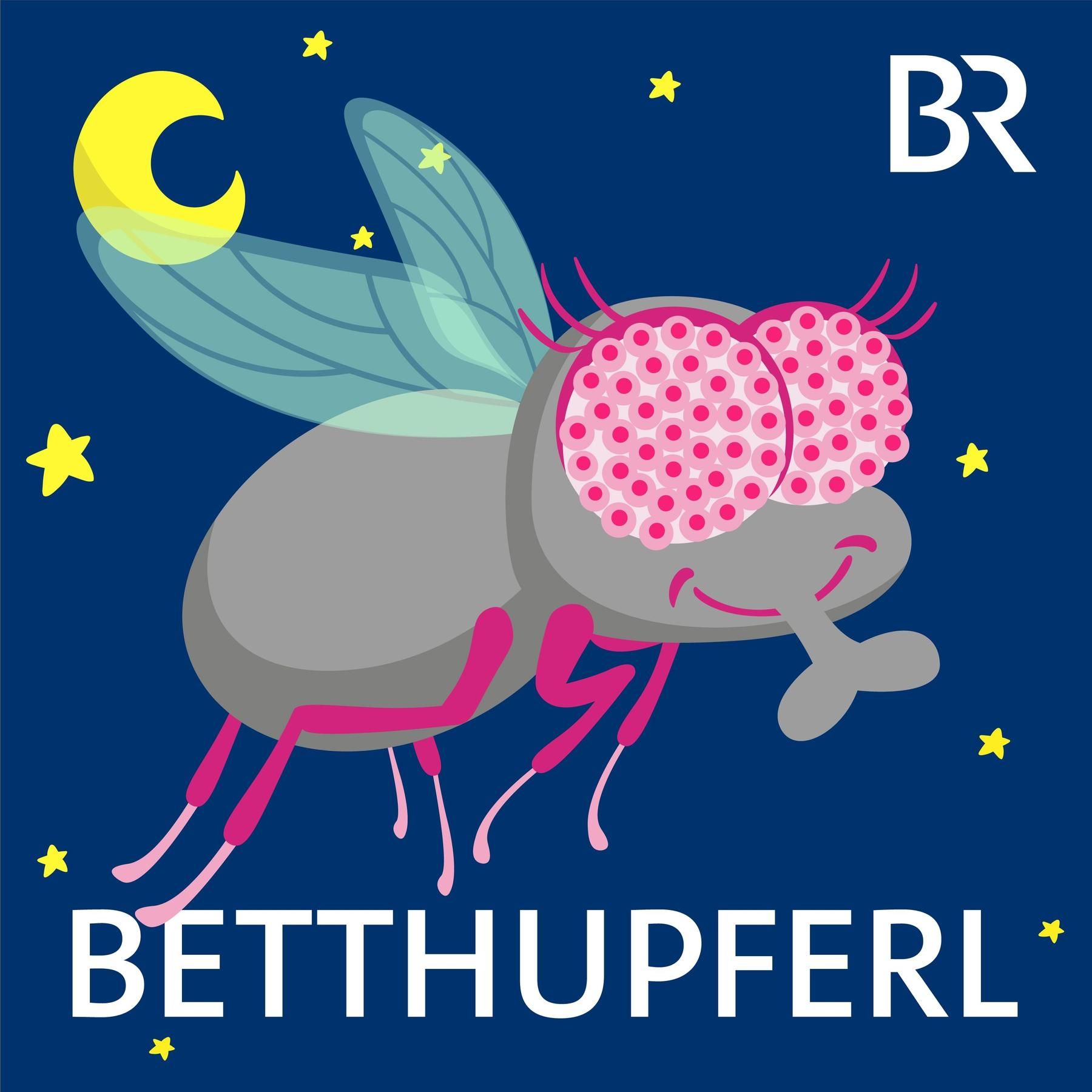 Christine, die schwäbische Stubenfliege: Moiadibbl | Eine Gute-Nacht-Geschichte ab 5 Jahren / Mundart Schwaben