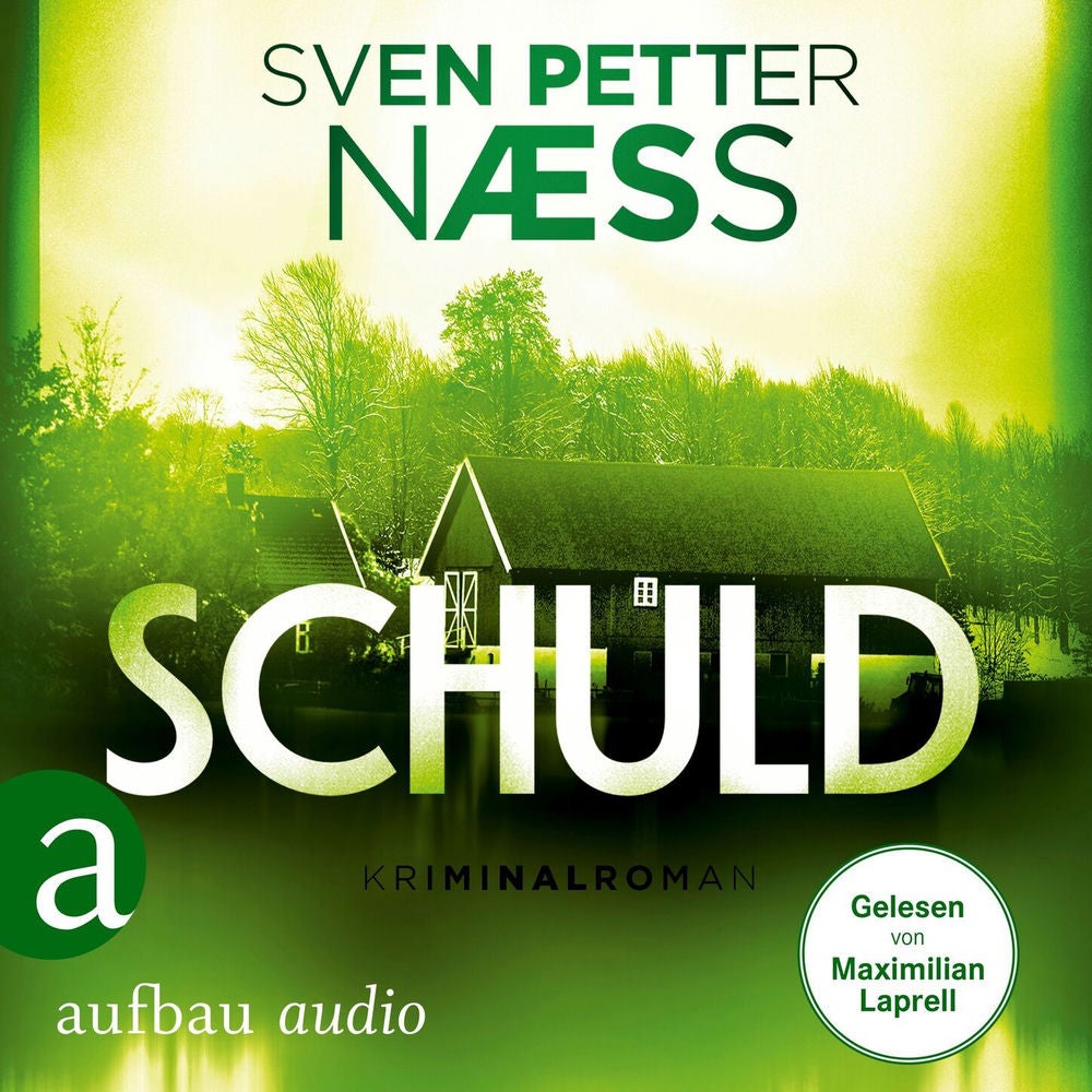 Schuld - Team Oslo ermittelt, Band 3