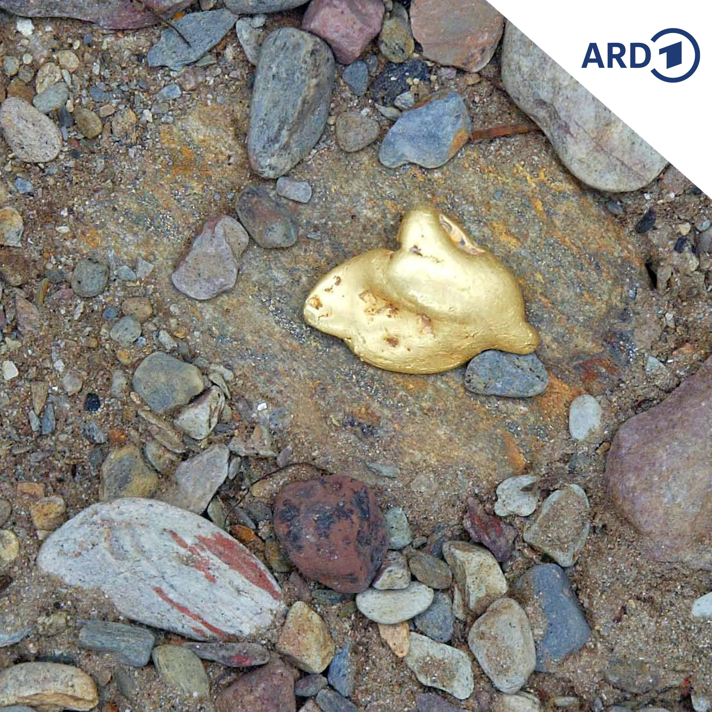 Goldgräberfeeling in Polen & Finderlohn für Goldschatz