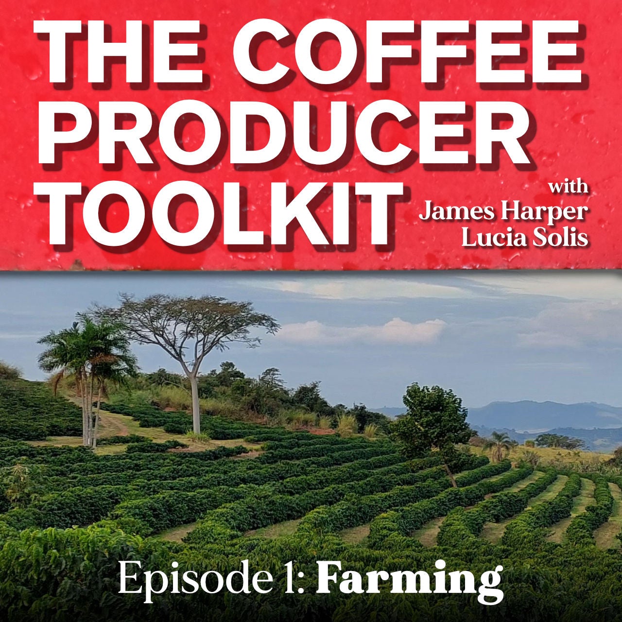 Farming: Water crisis, risky genetics and cash flow crunch