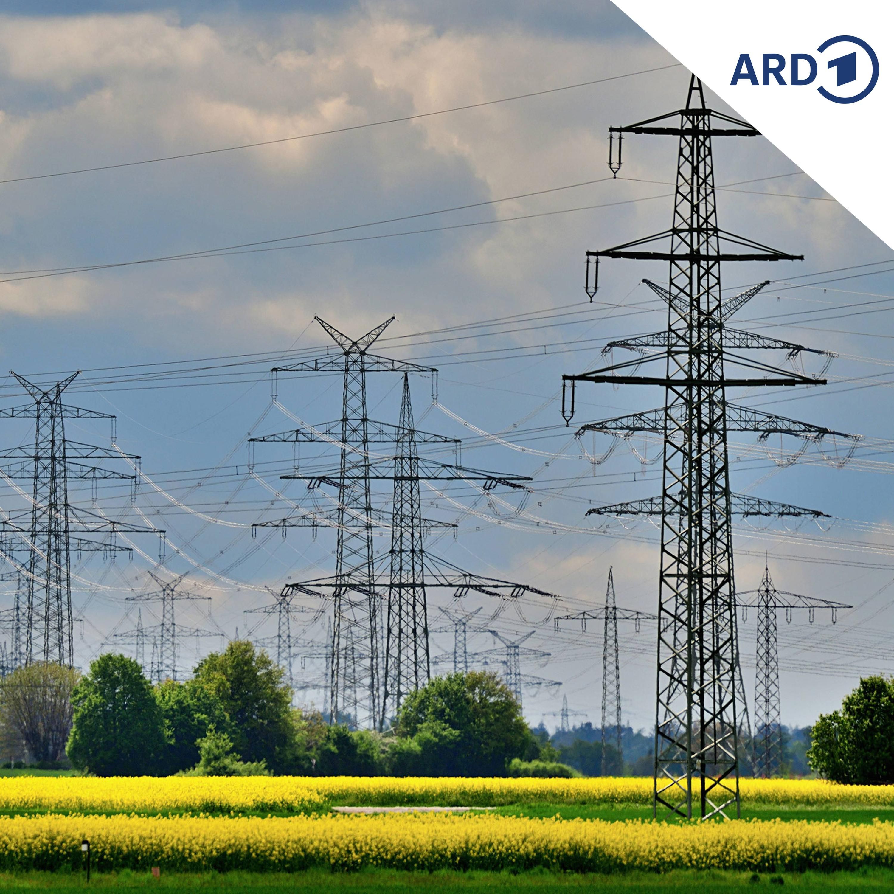 Bundesverband: Reiche bremst Energiewende aus