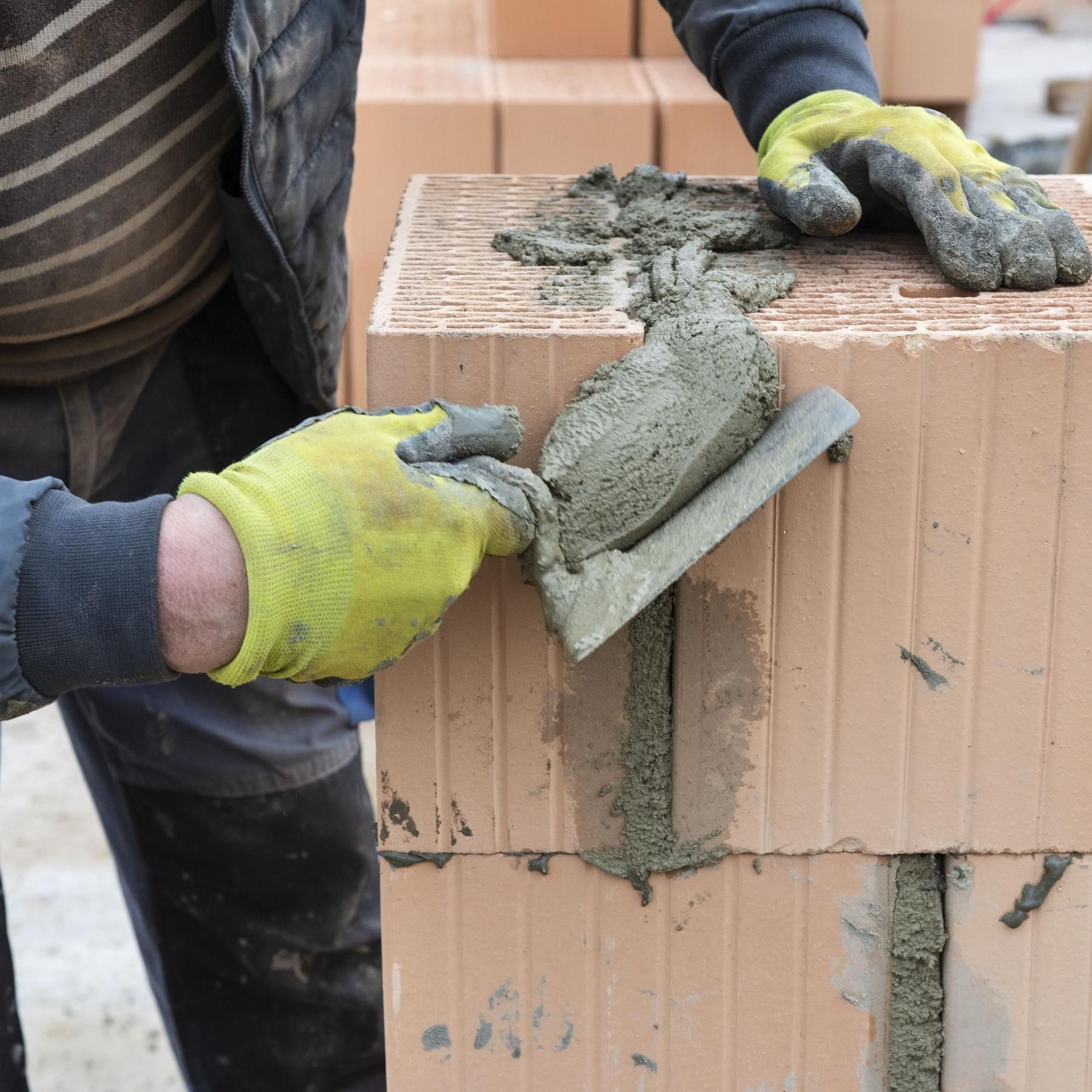 Ausbildung schlägt Studium