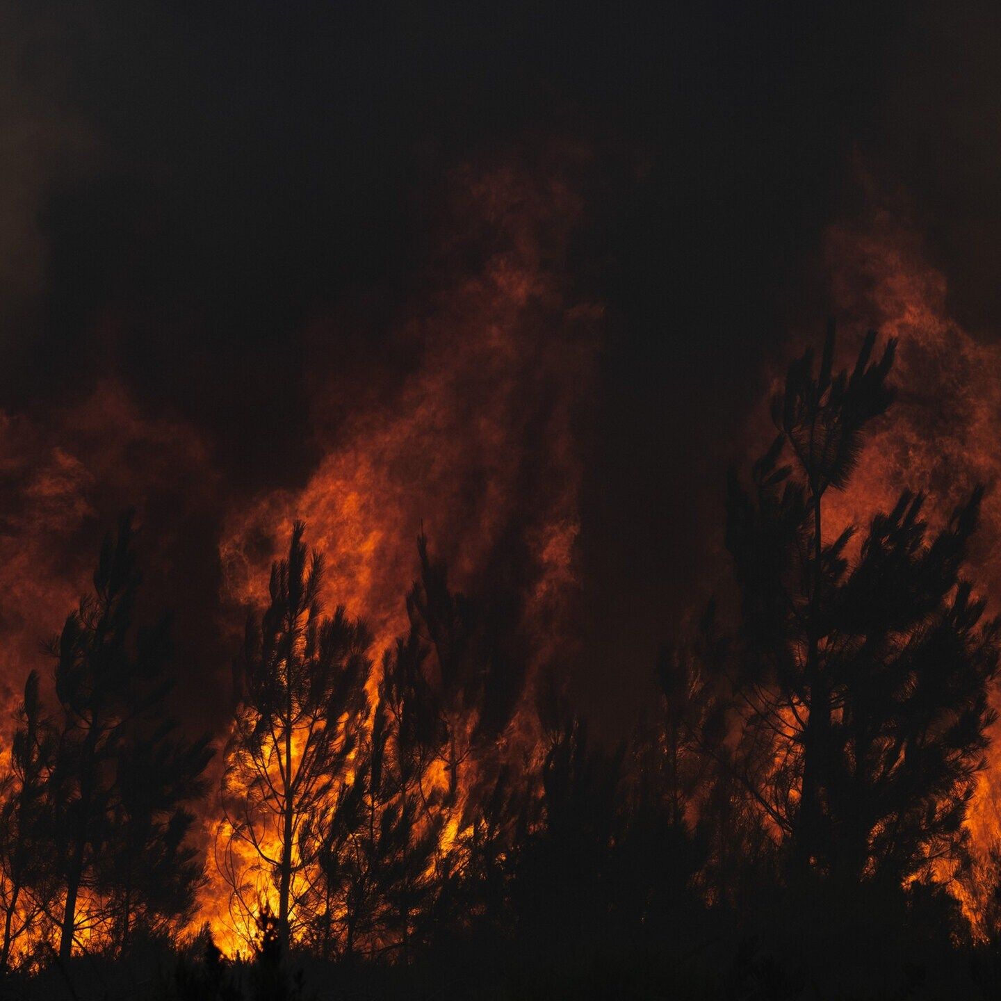 Feuergewitter und Flammentornados