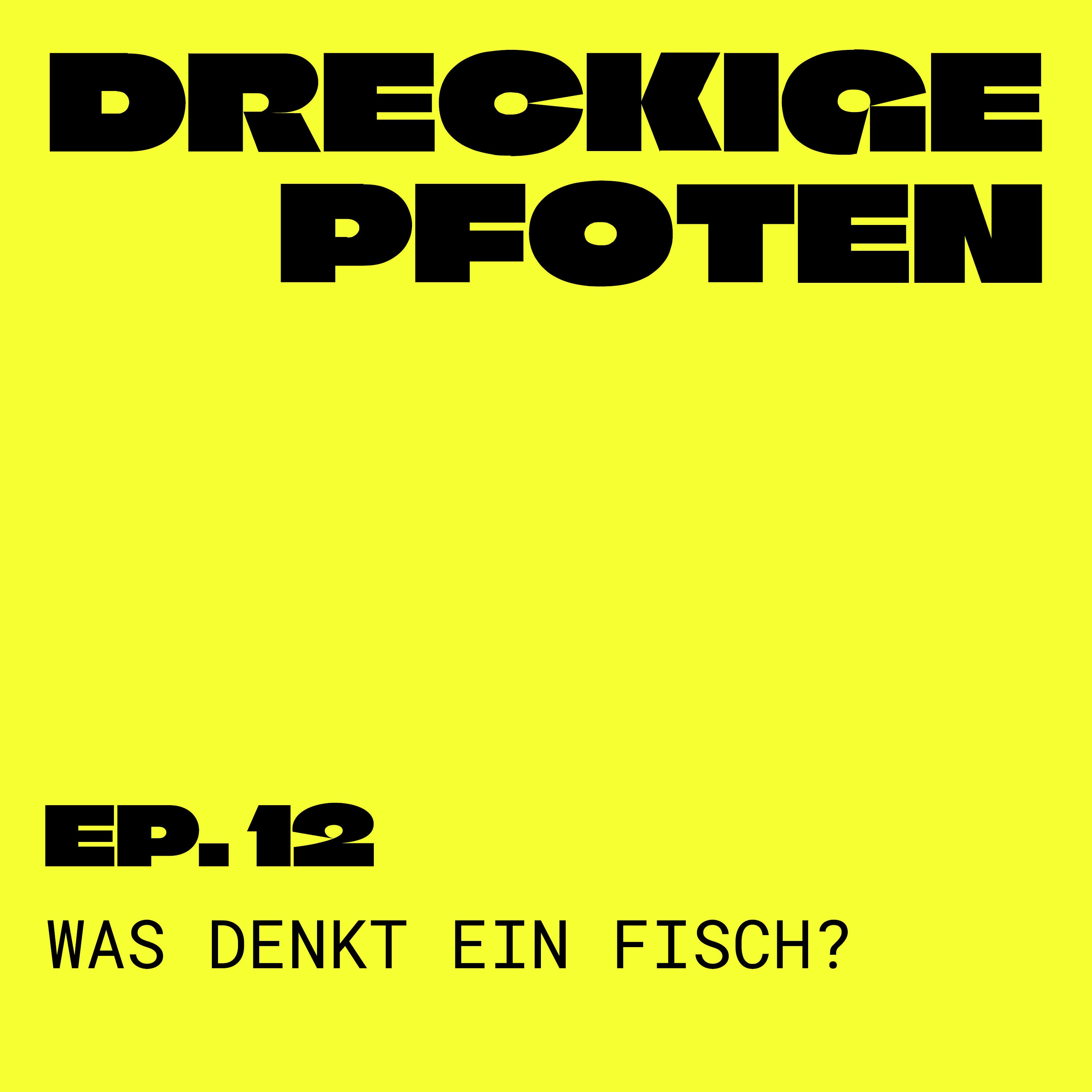 Was denkt ein Fisch? - von Liebesbeziehungen und Wettfischen