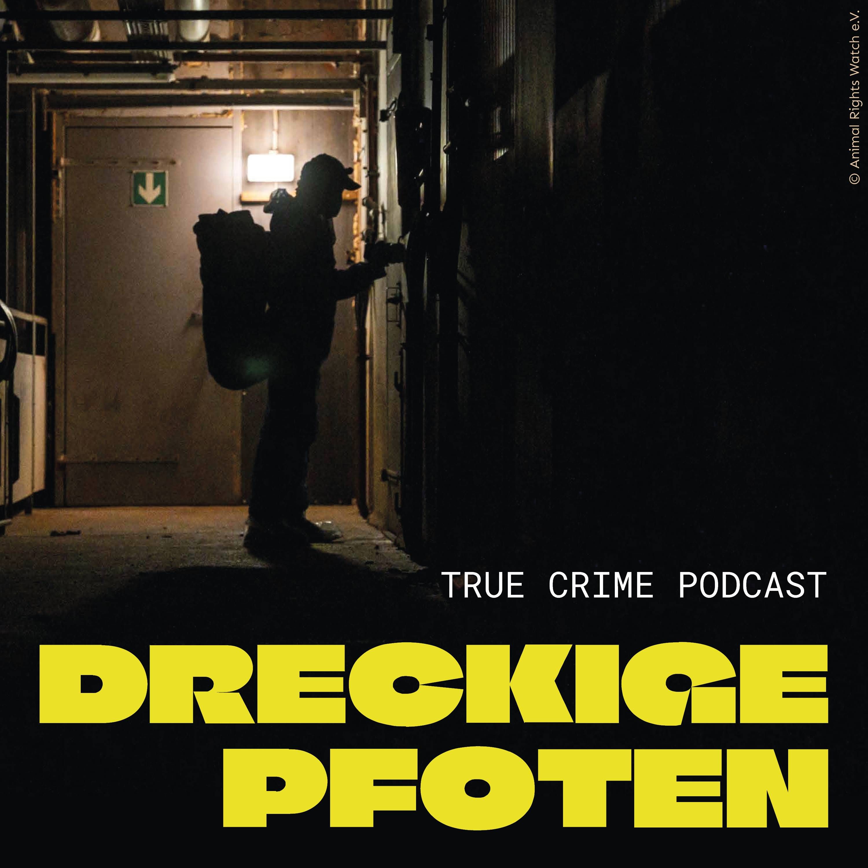 dreckige Pfoten