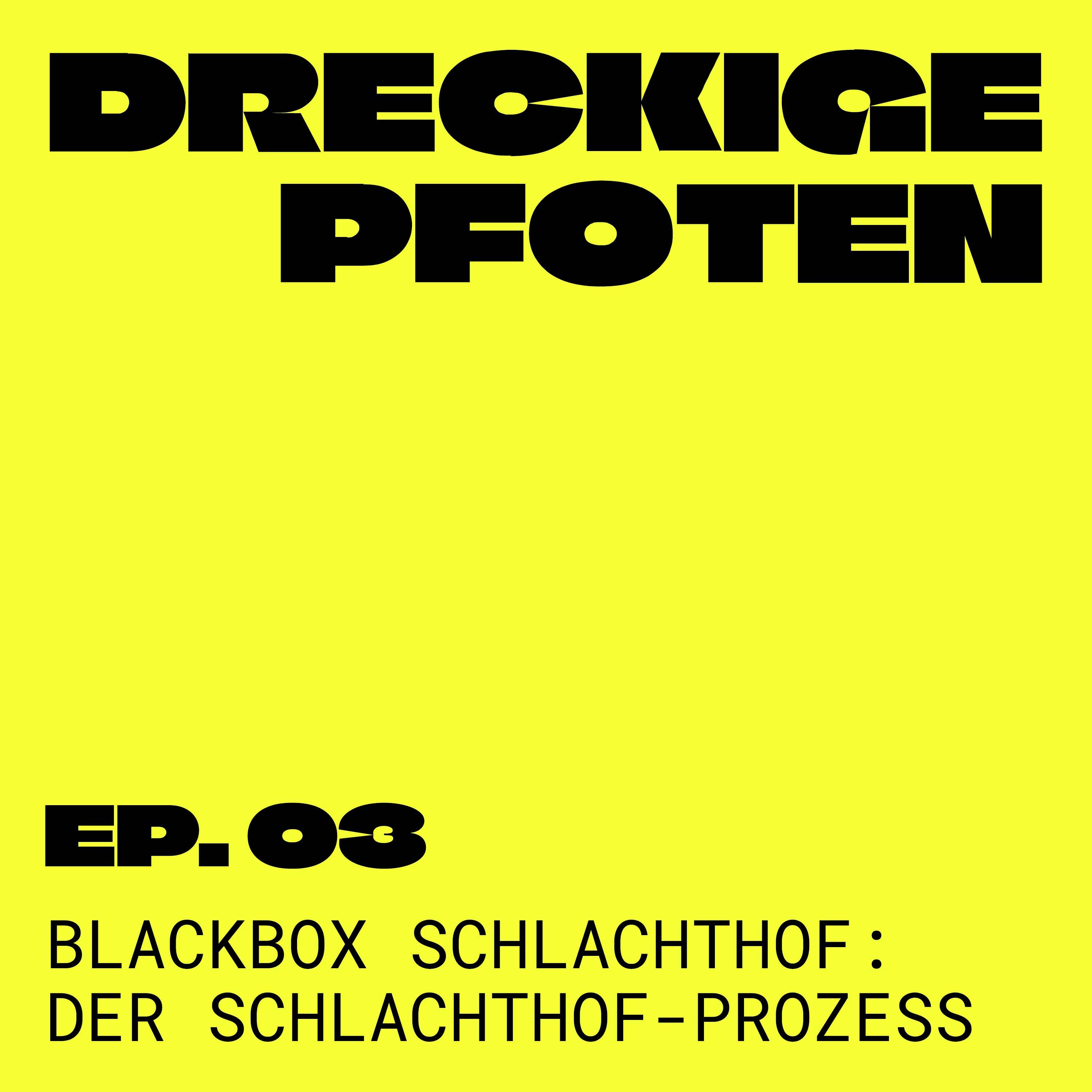 Blackbox Schlachthof 3/3