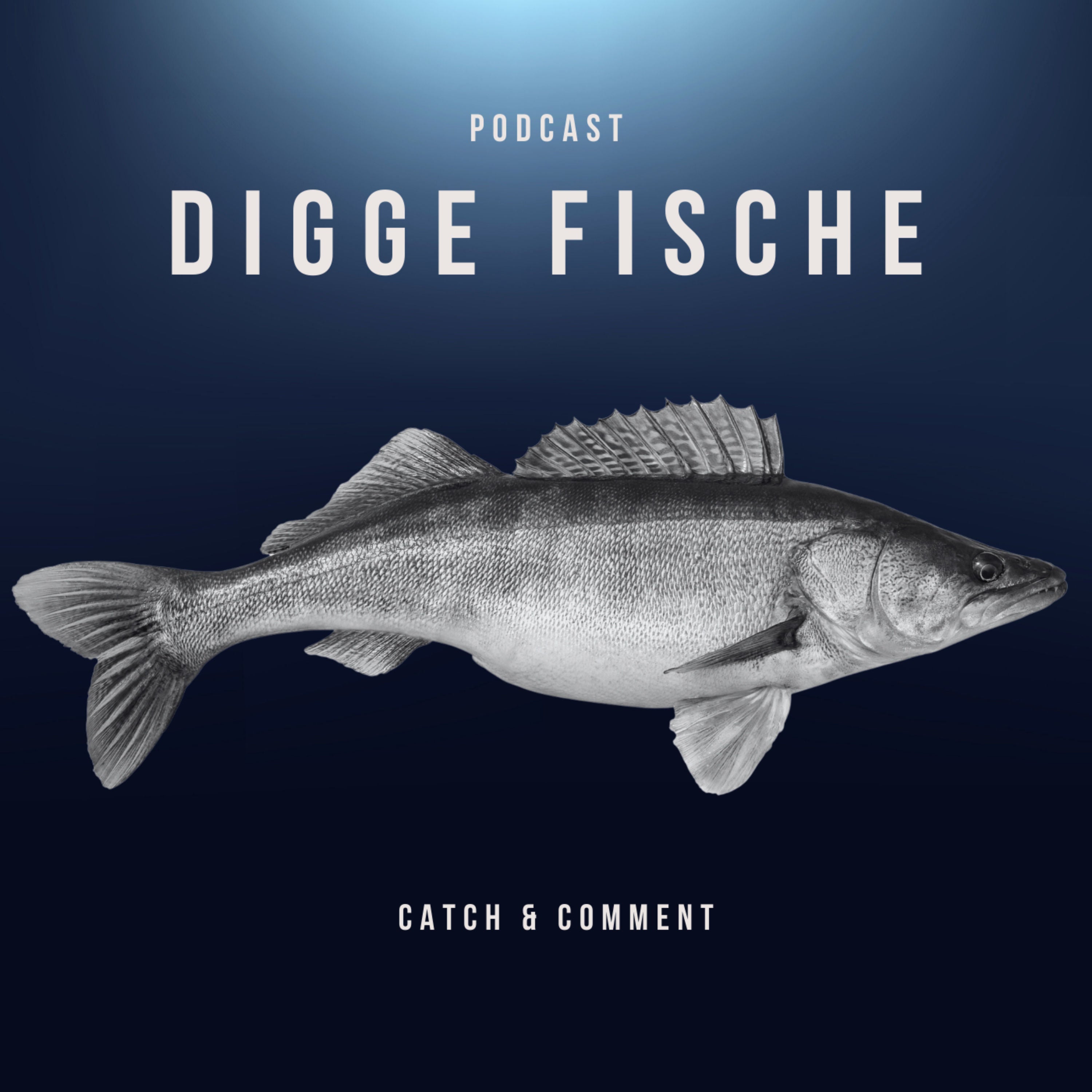 #042 SOMMER ANGELN SPEZIAL - Wie du jetzt die Fische findest und den Sommer Code knackst!