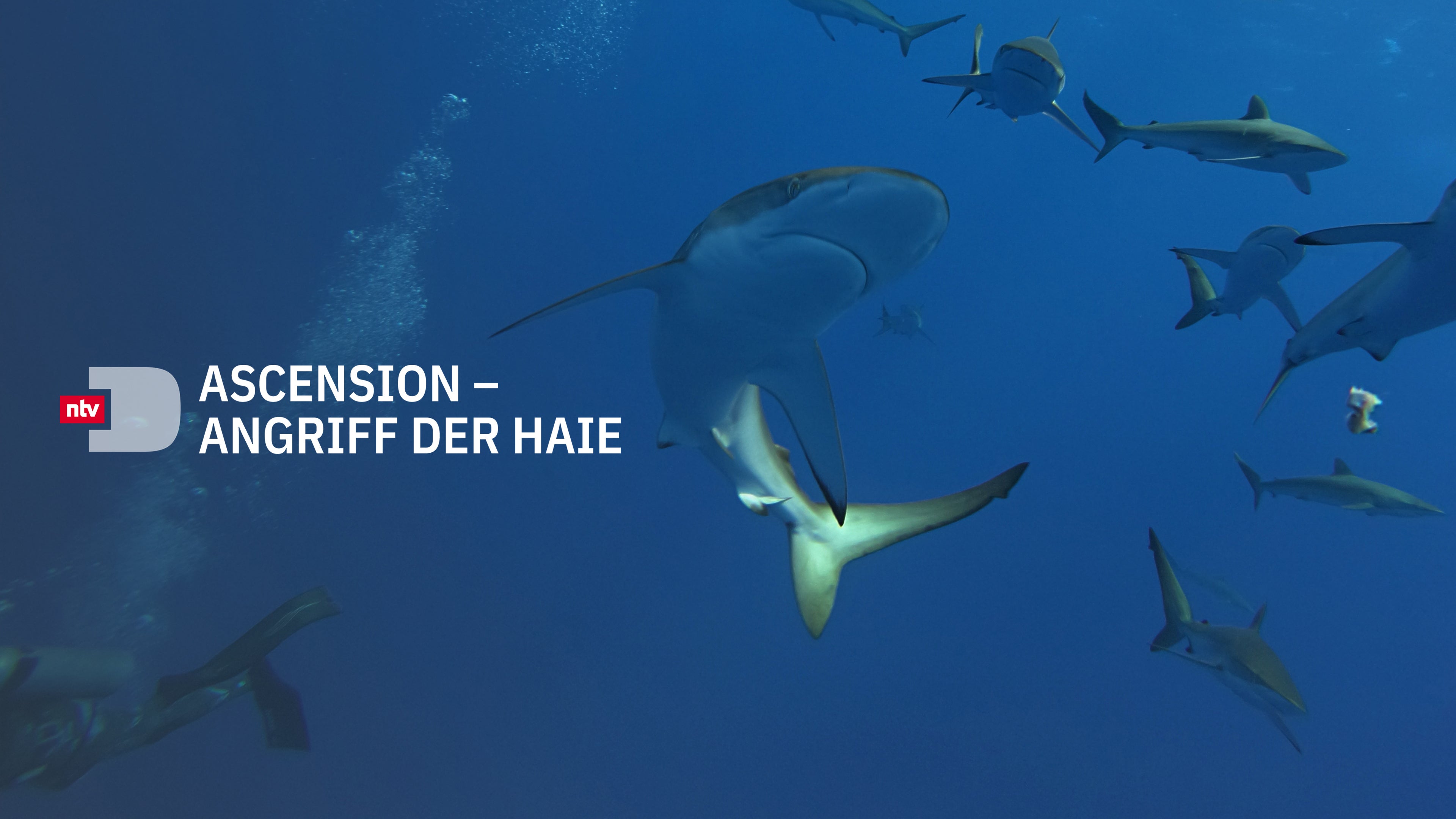 Ascension - Angriff der Haie