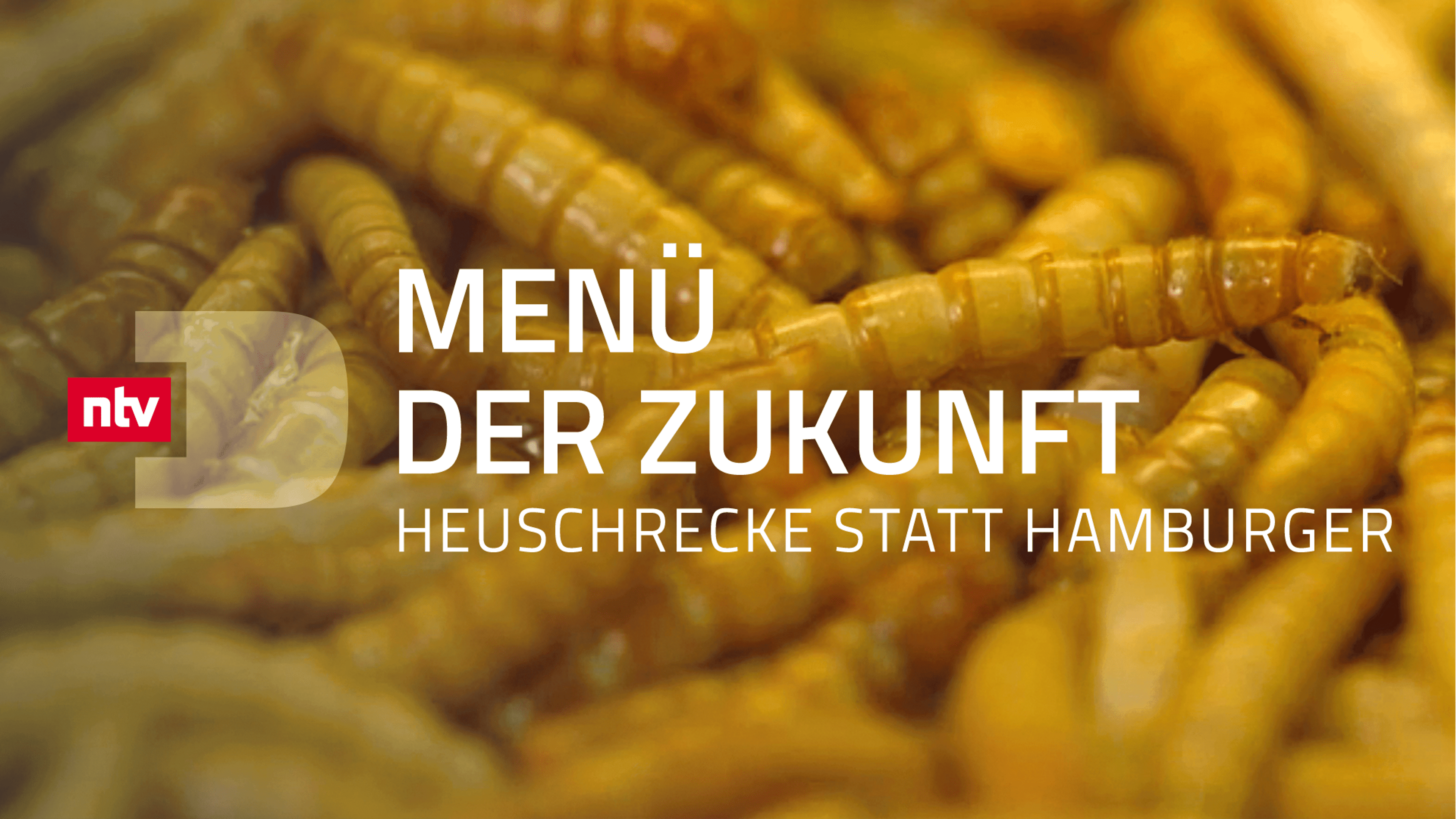 Menü der Zukunft - Heuschrecke statt Hamburger