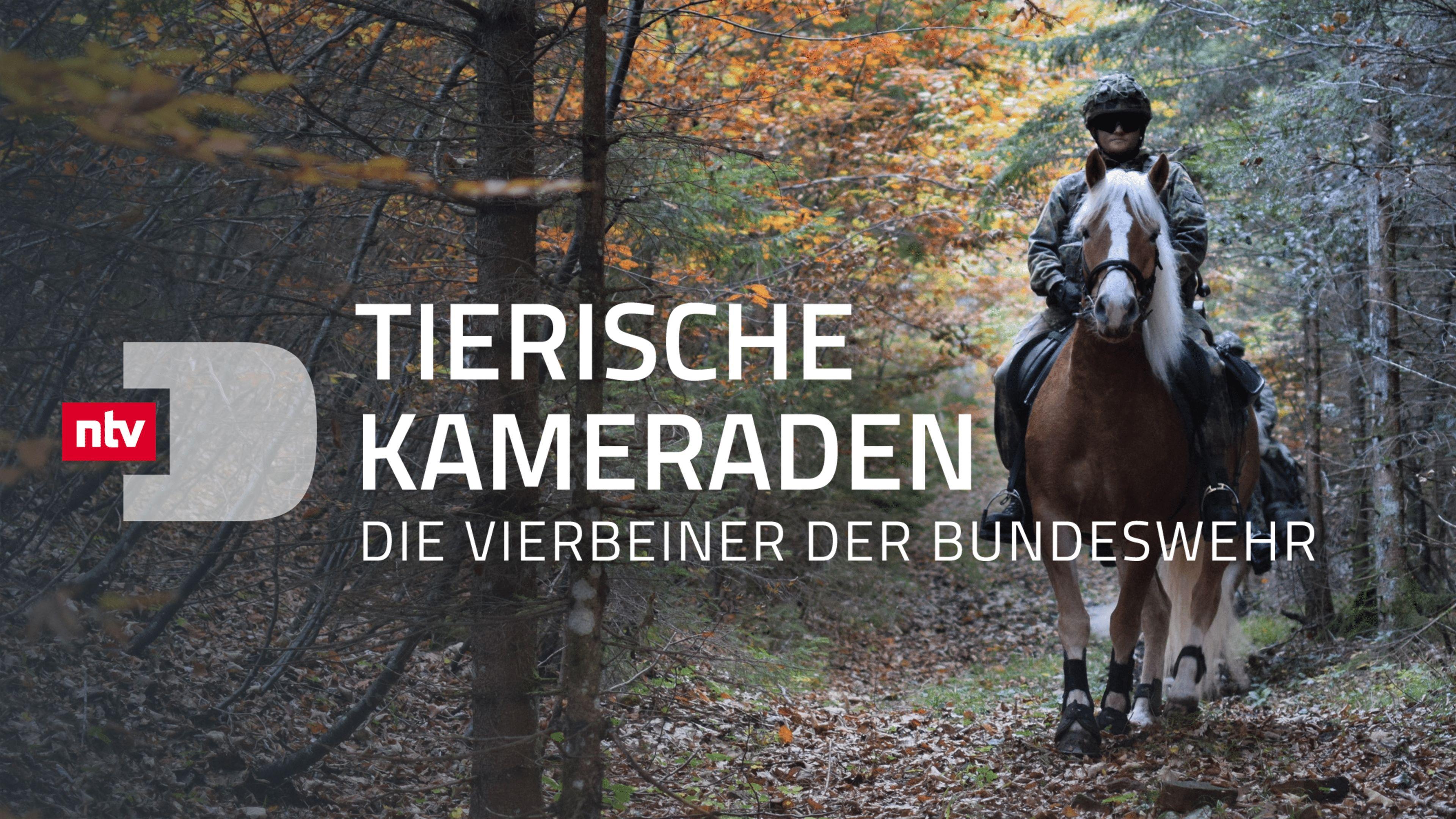 Tierische Kameraden - Die Vierbeiner der Bundeswehr