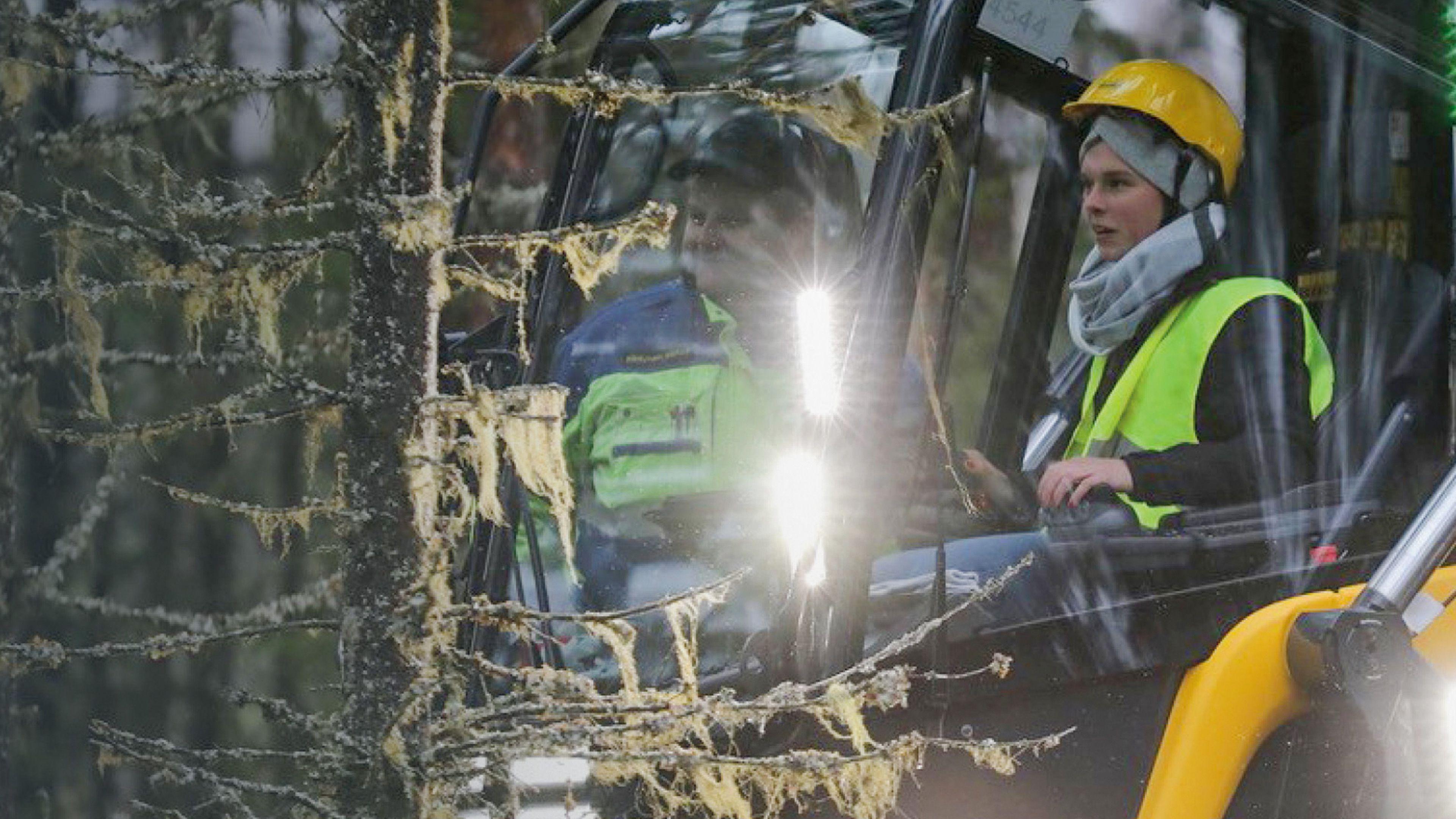 Männerdomäne adé? - Frauen im Wald