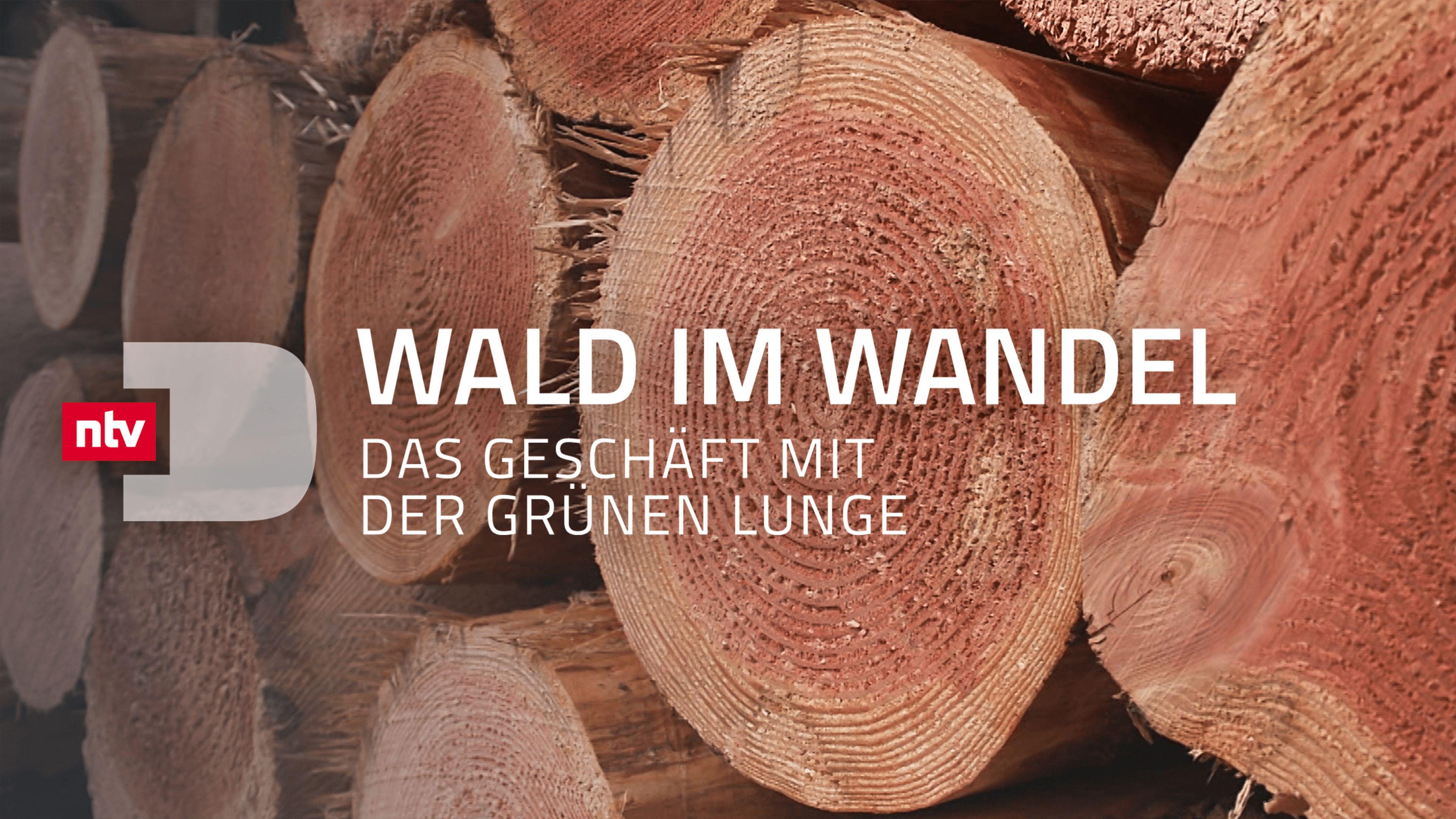 Wald im Wandel - Das Geschäft mit der grünen Lunge