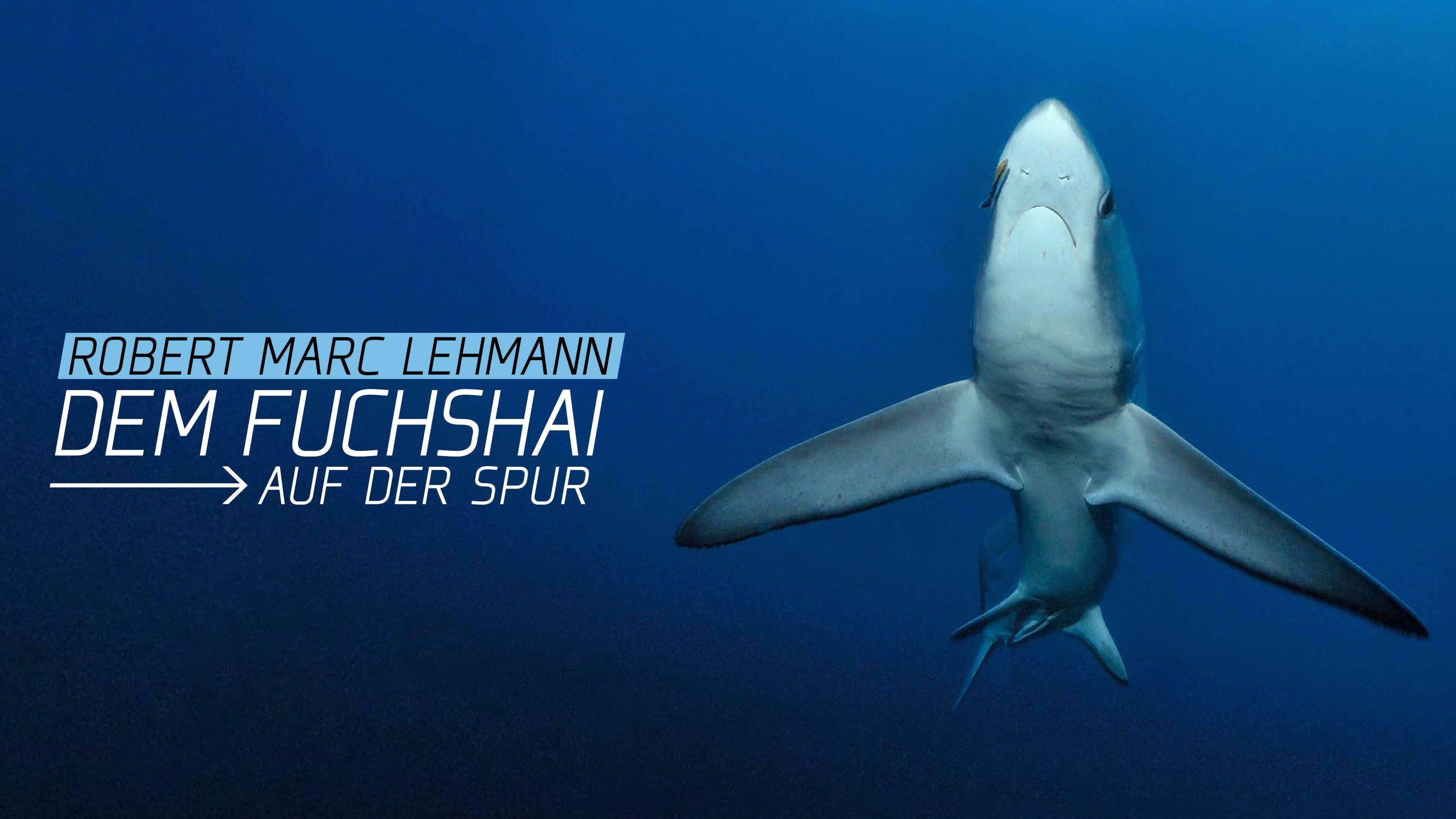 Robert Marc Lehmann: Dem Fuchshai auf der Spur