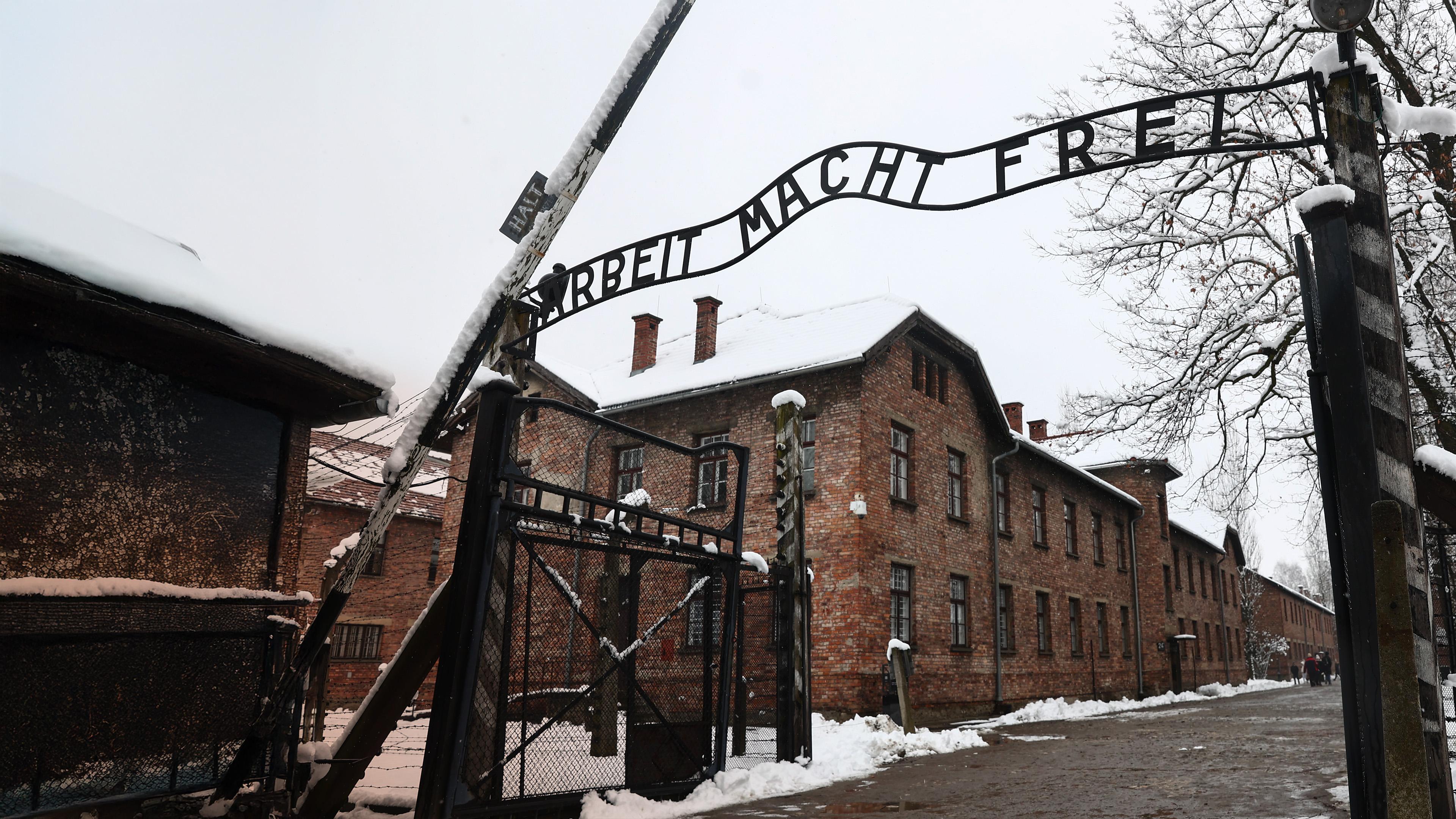 Auschwitz - Countdown zur Befreiung