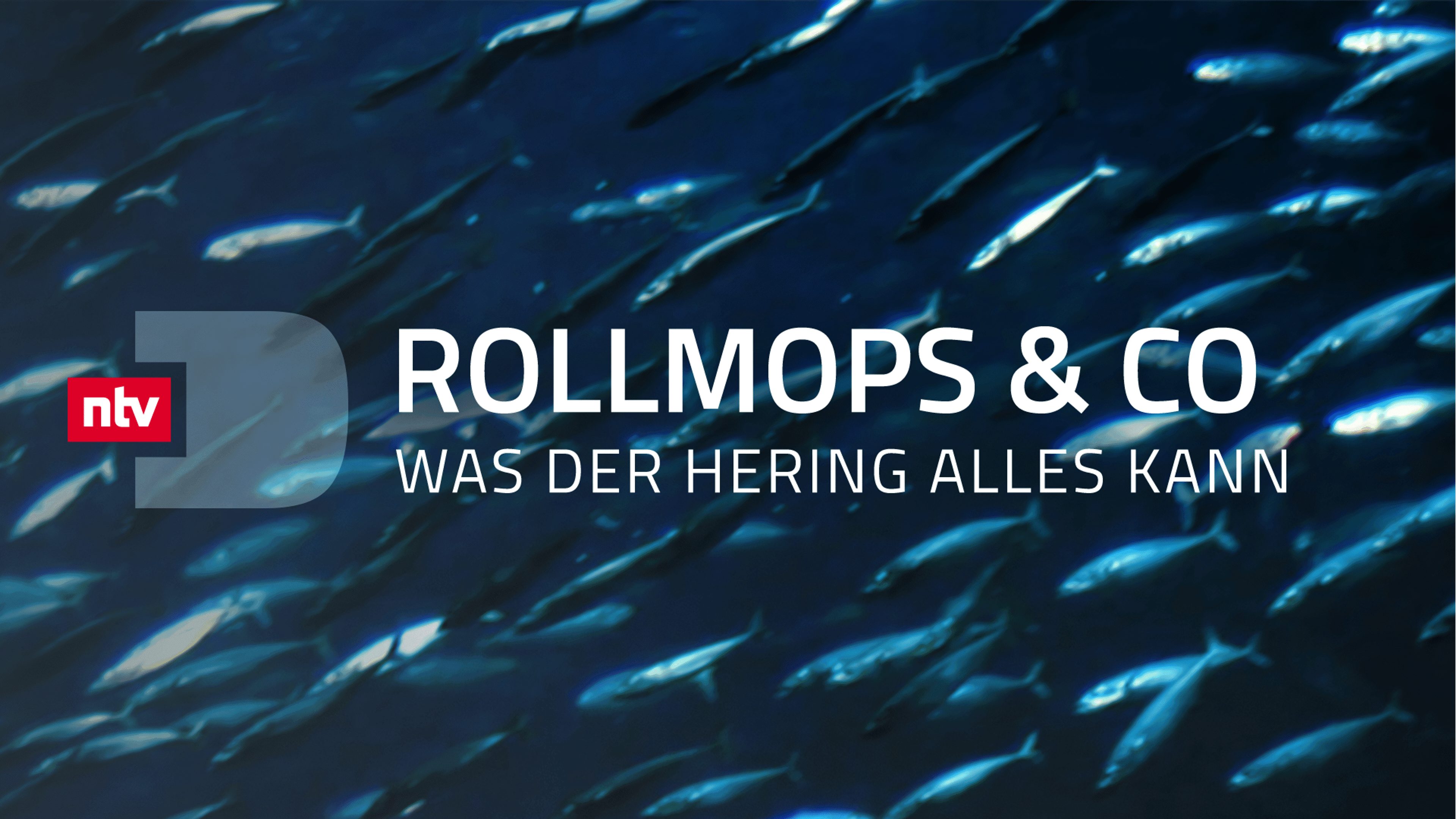 Rollmops & Co - Was der Hering alles kann