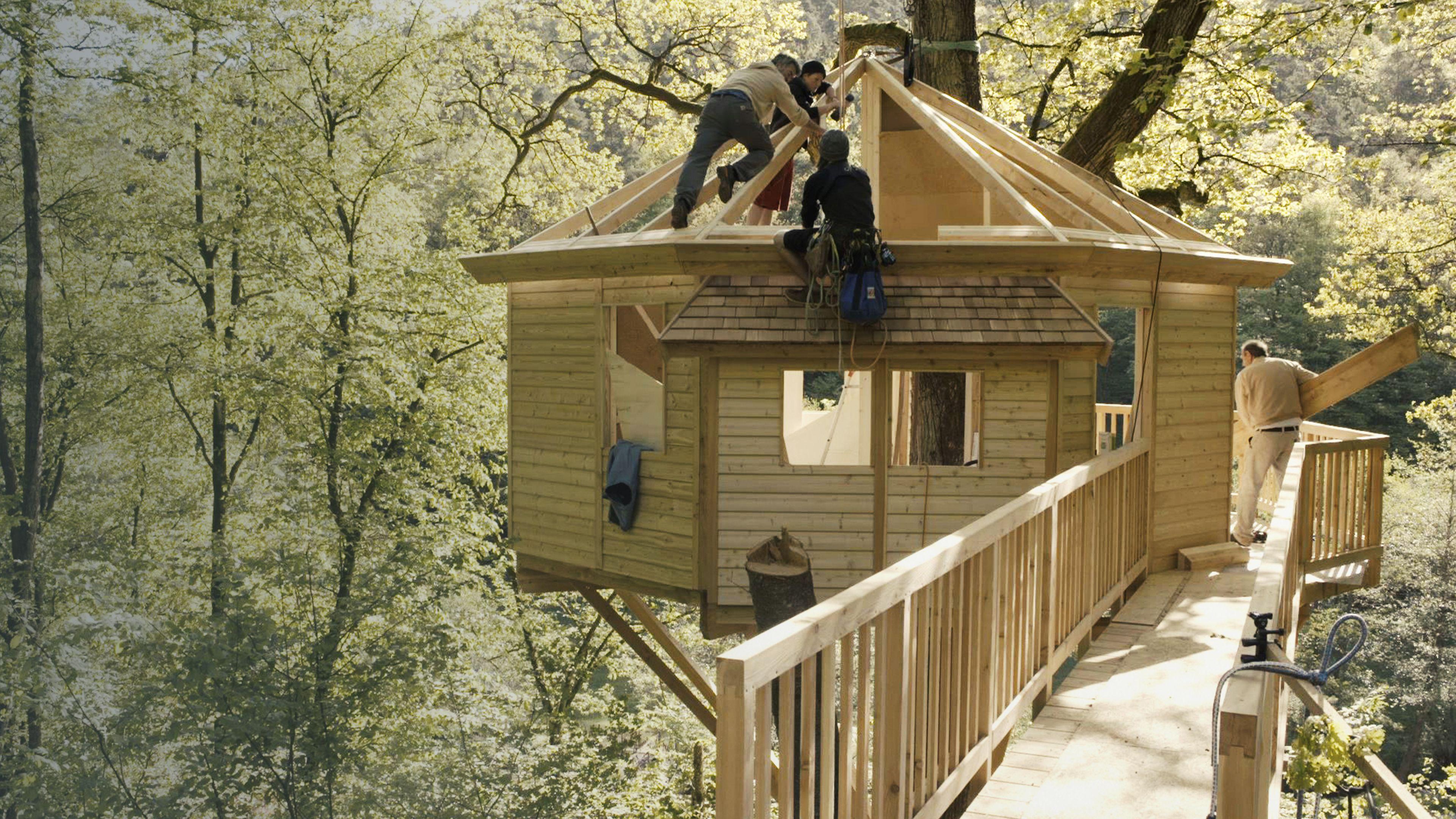 Ganz oben - Wohnen im Baumhaus