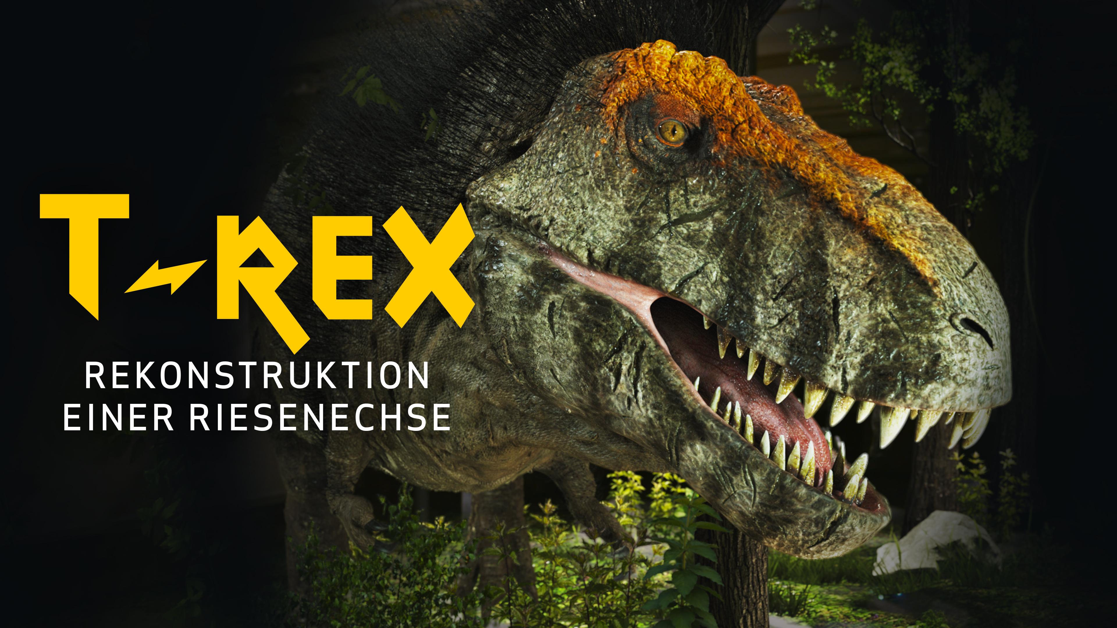 T-Rex - Rekonstruktion einer Riesenechse