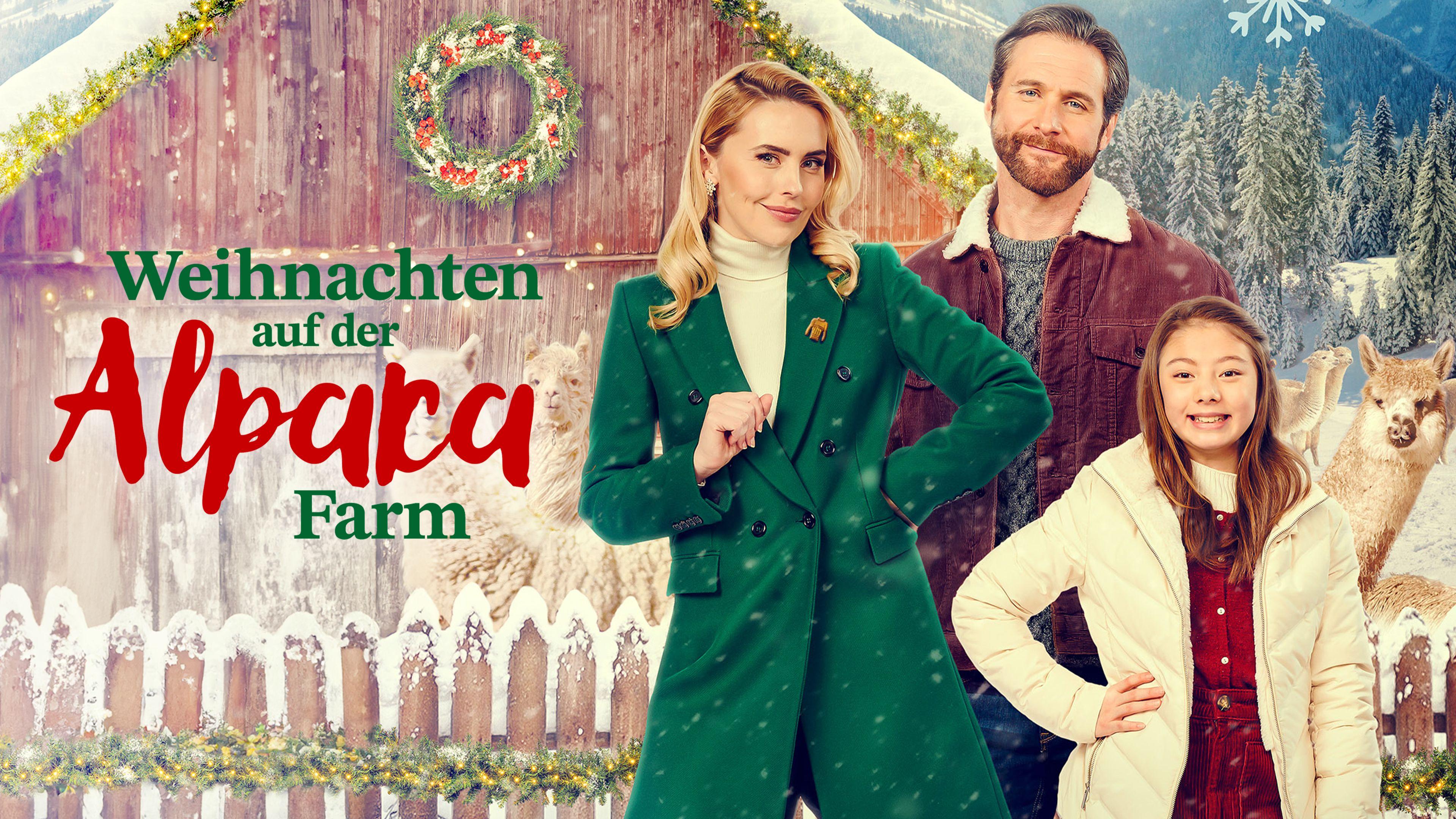 Weihnachten auf der Alpakafarm