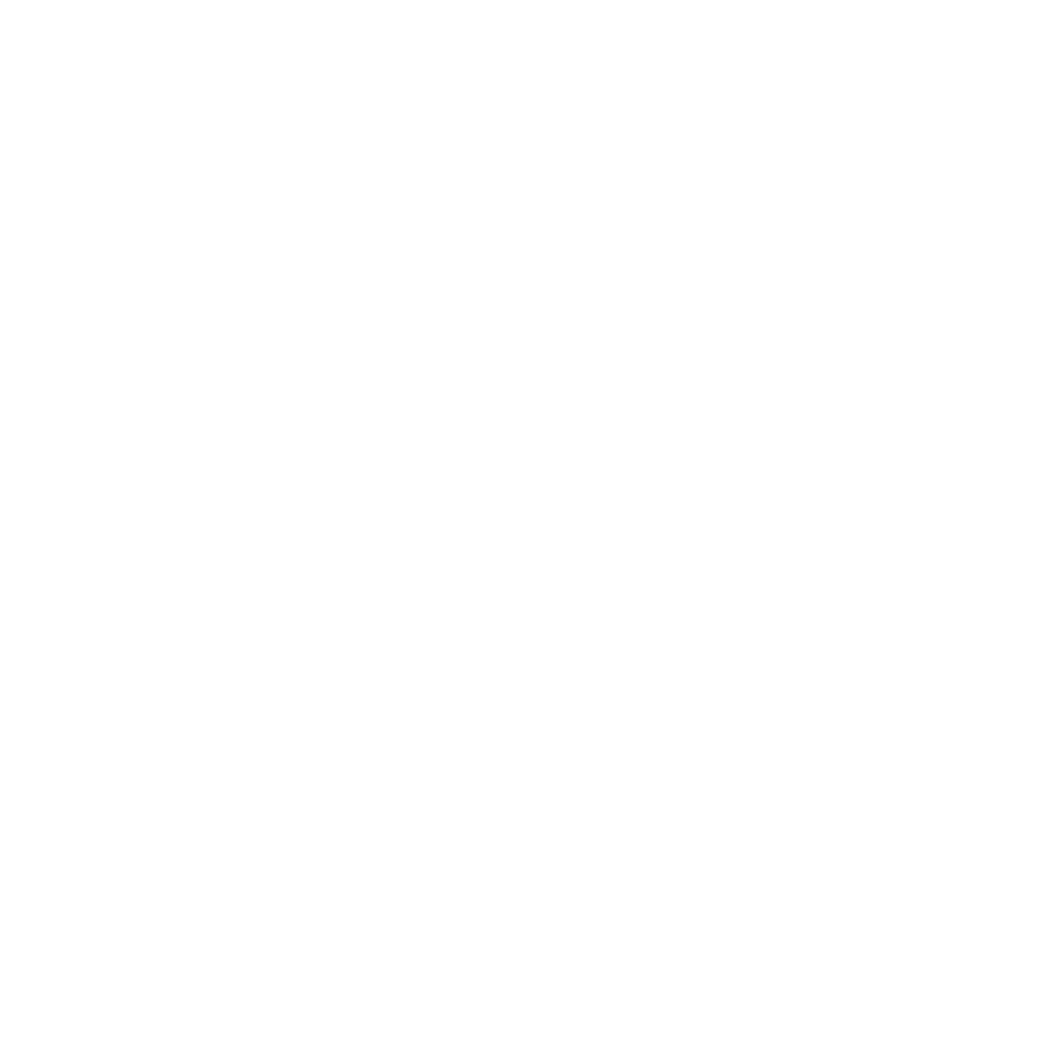 The Inspection