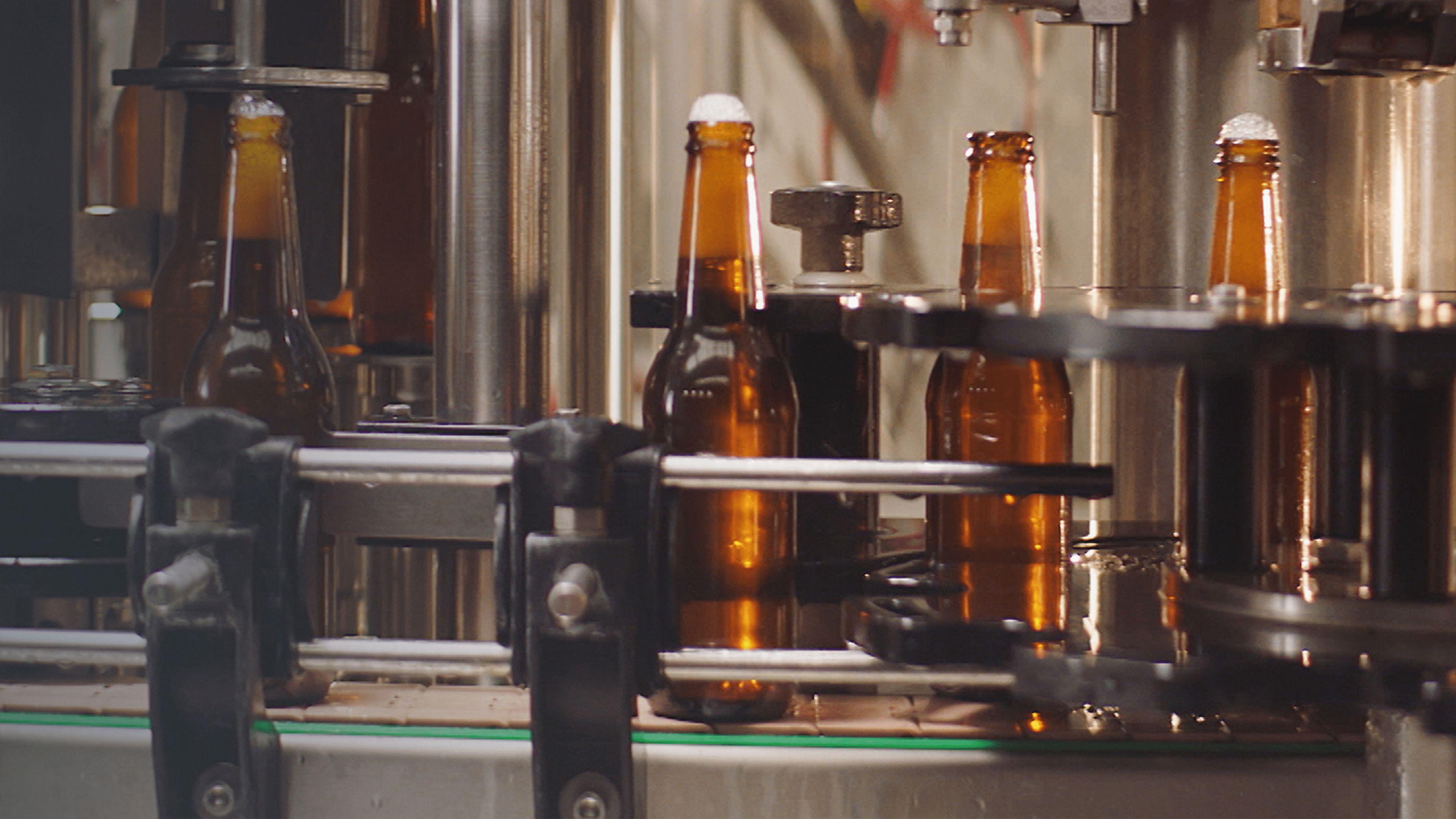Bier - Die Welt des Brauens