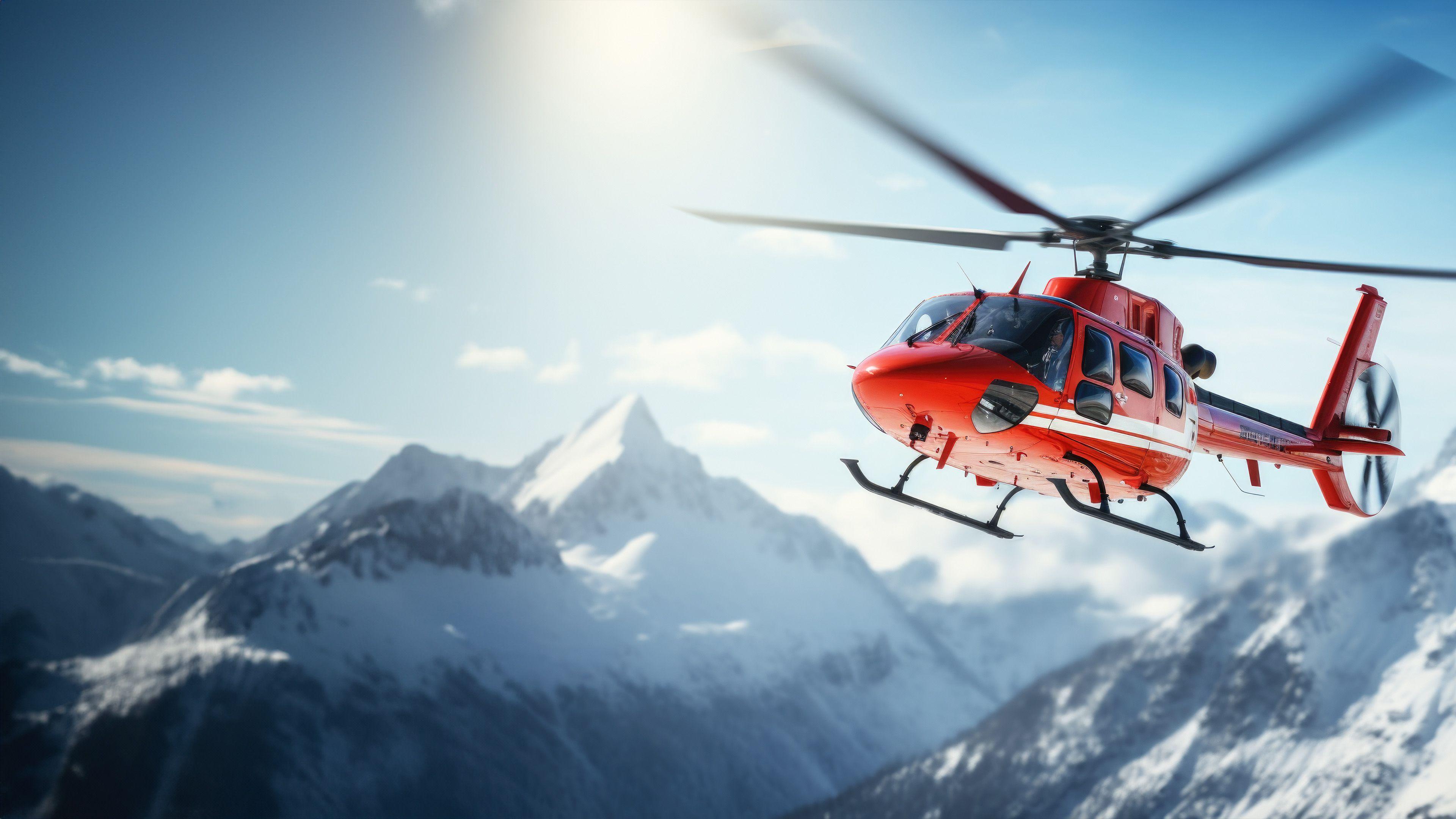 Die Lebensretter - Einsatz in den Alpen