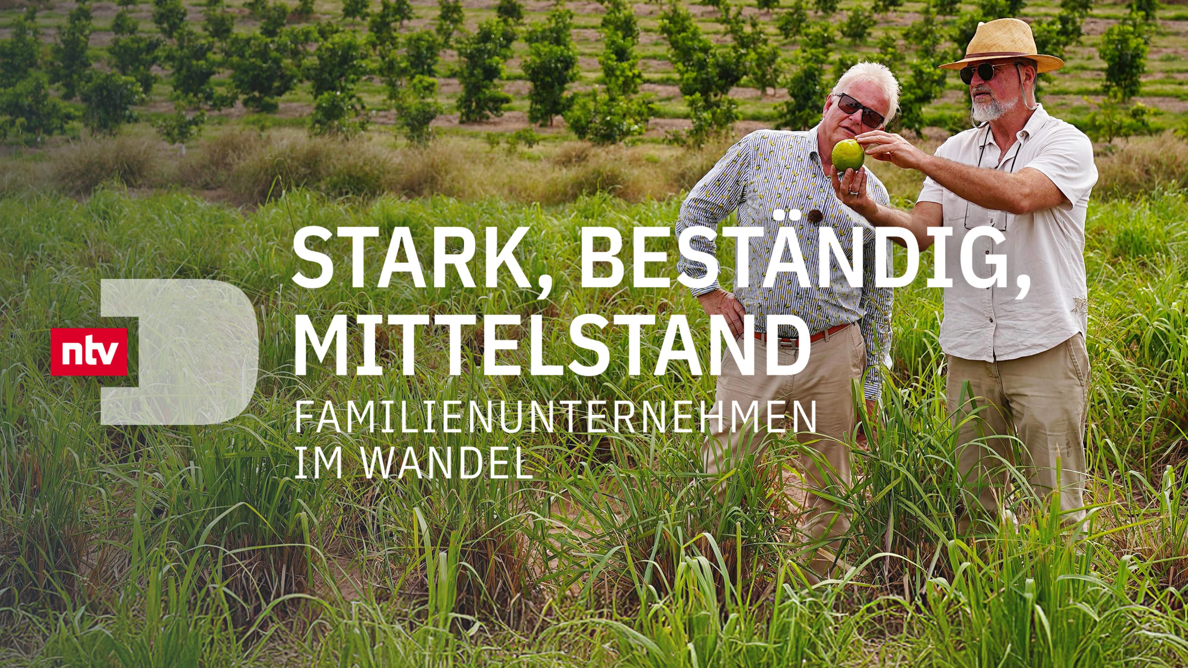 Stark, beständig, Mittelstand - Familienunternehmen im Wandel
