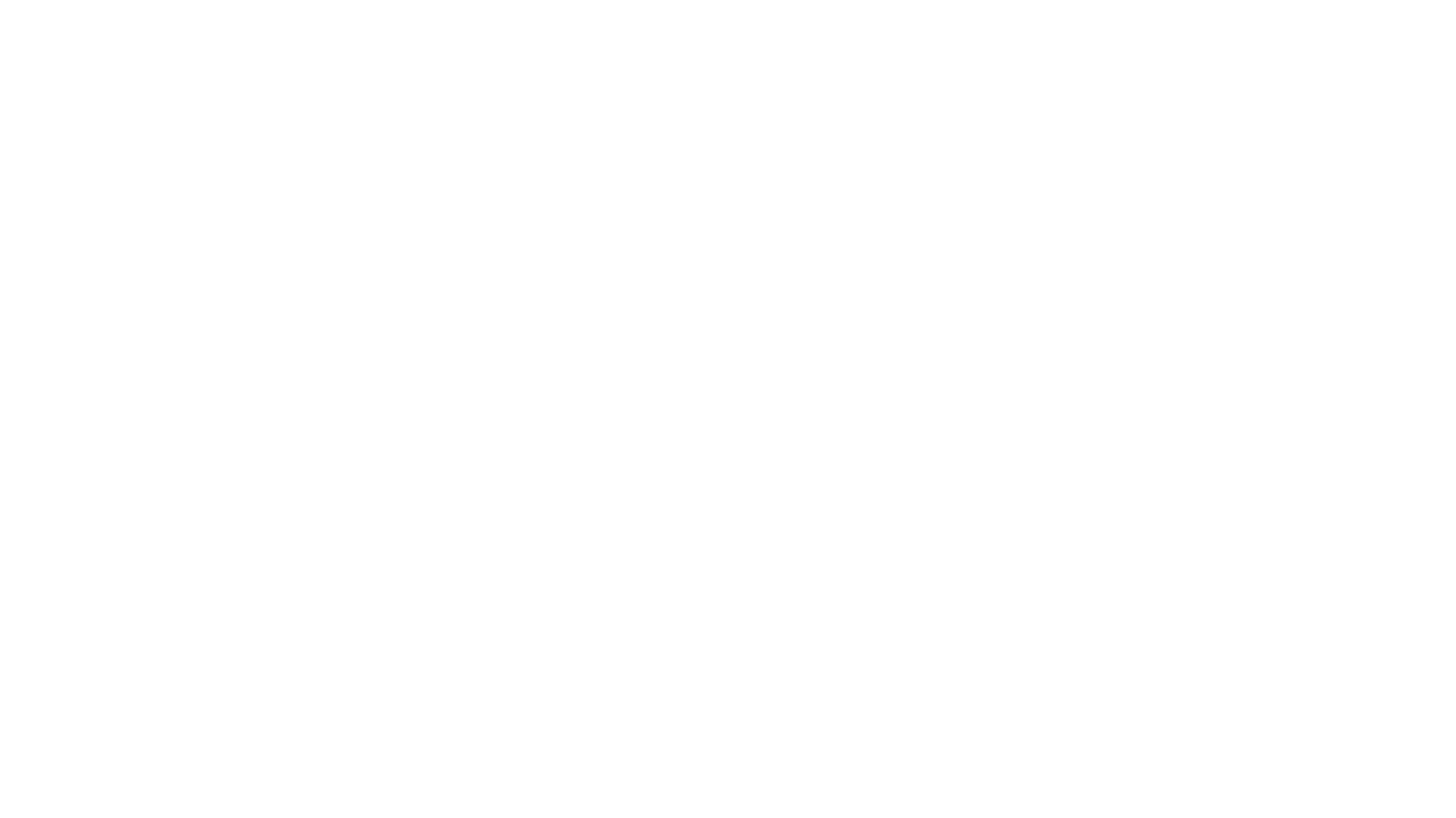 Ein riskanter Plan