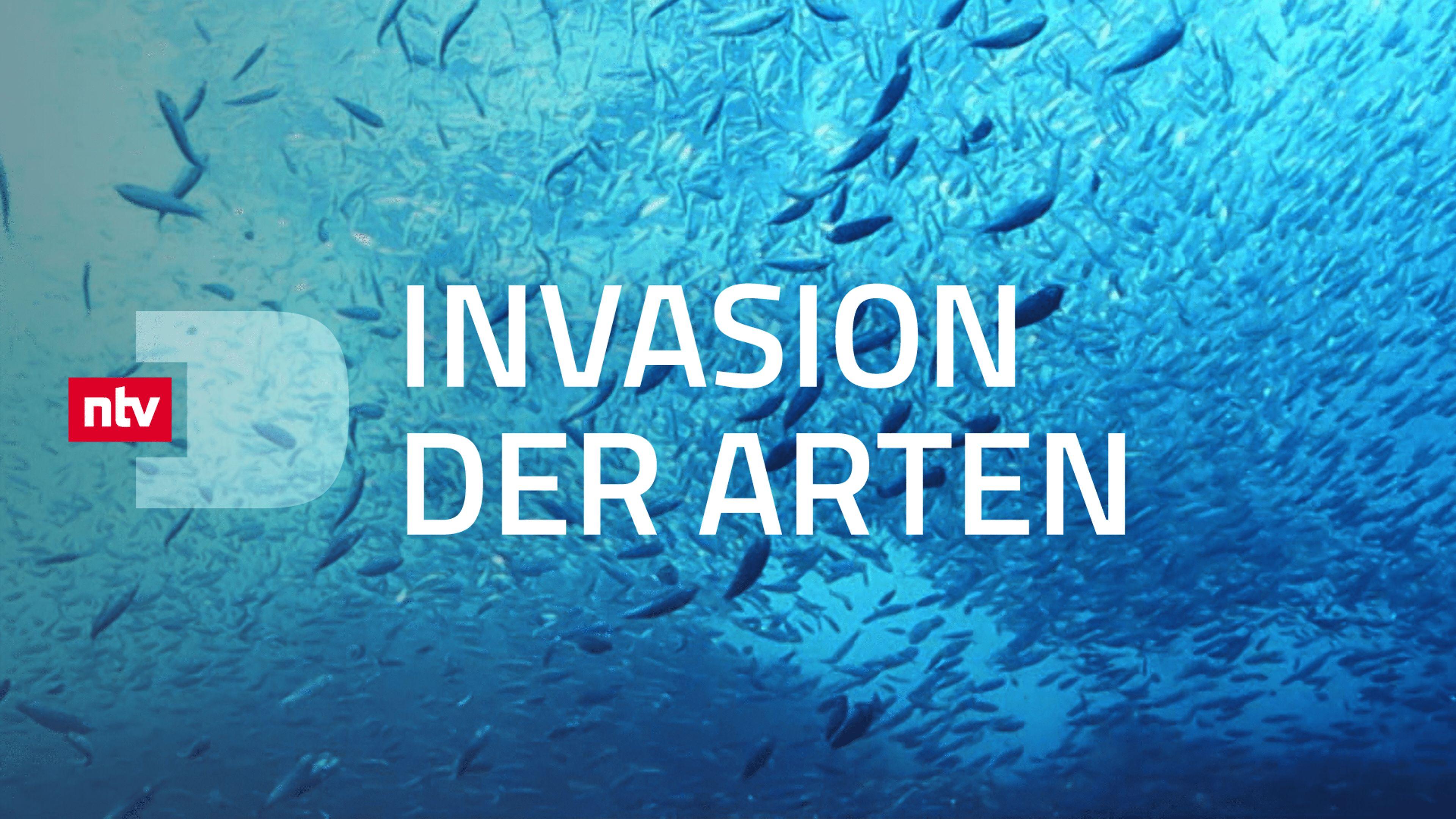 Invasion der Arten