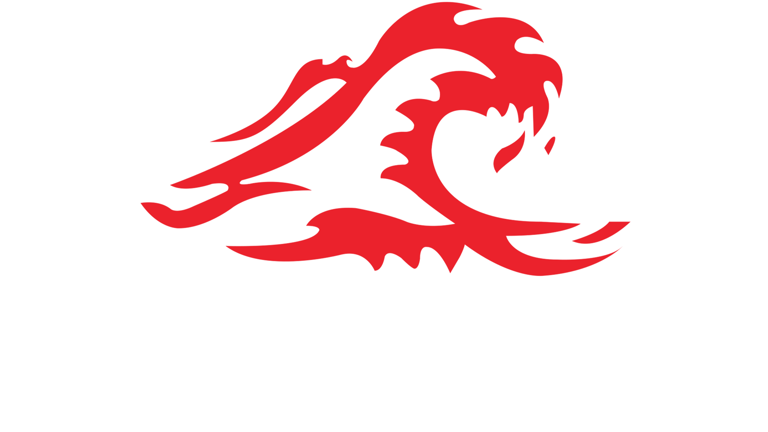Die Welle