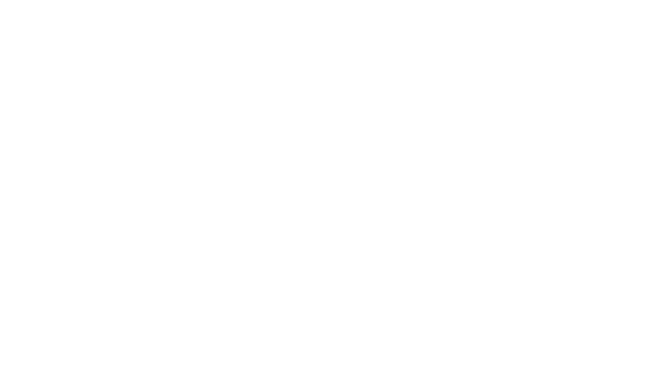 21 Bridges