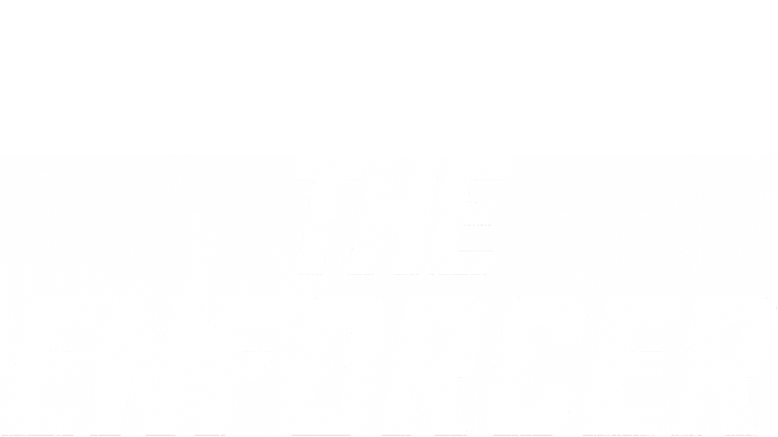The Enforcer