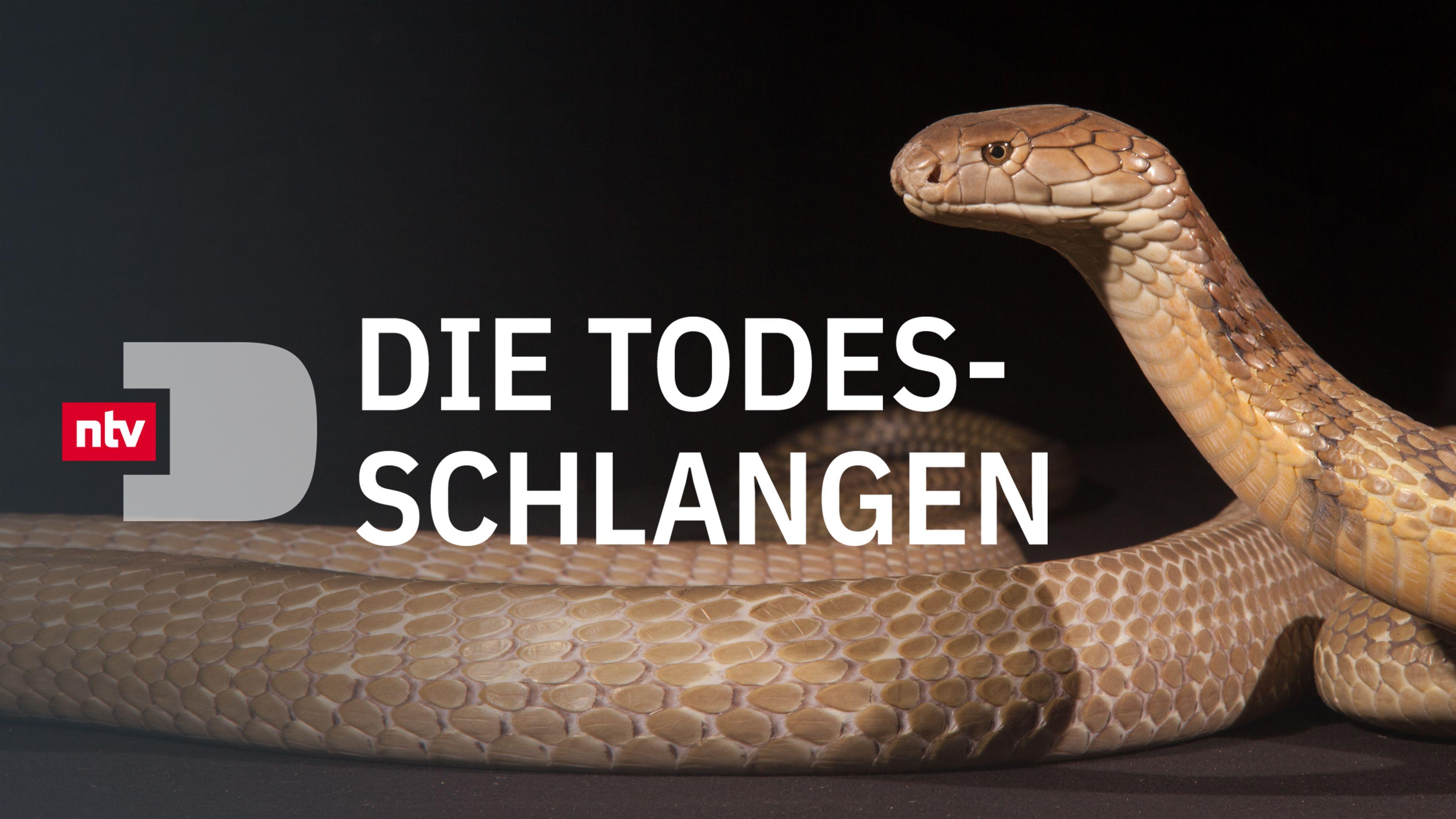 Die Todesschlangen