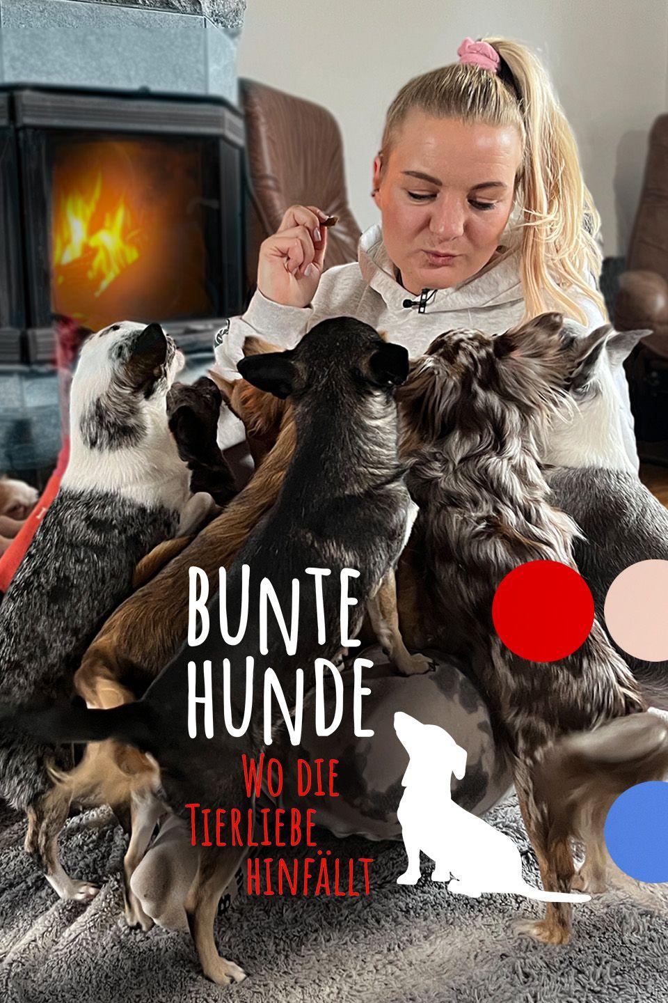 Bunte Hunde - Wo die Tierliebe hinfällt