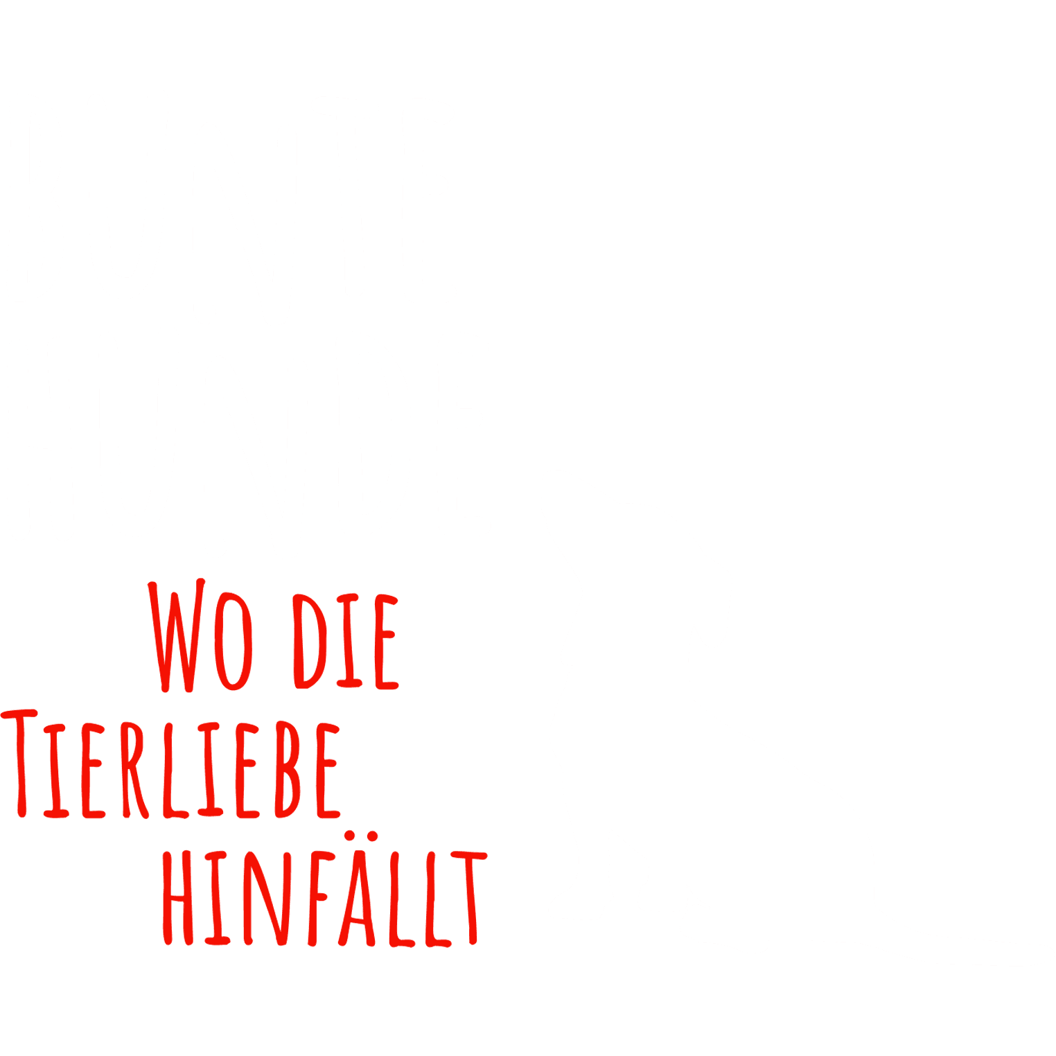Bunte Hunde - Wo die Tierliebe hinfällt