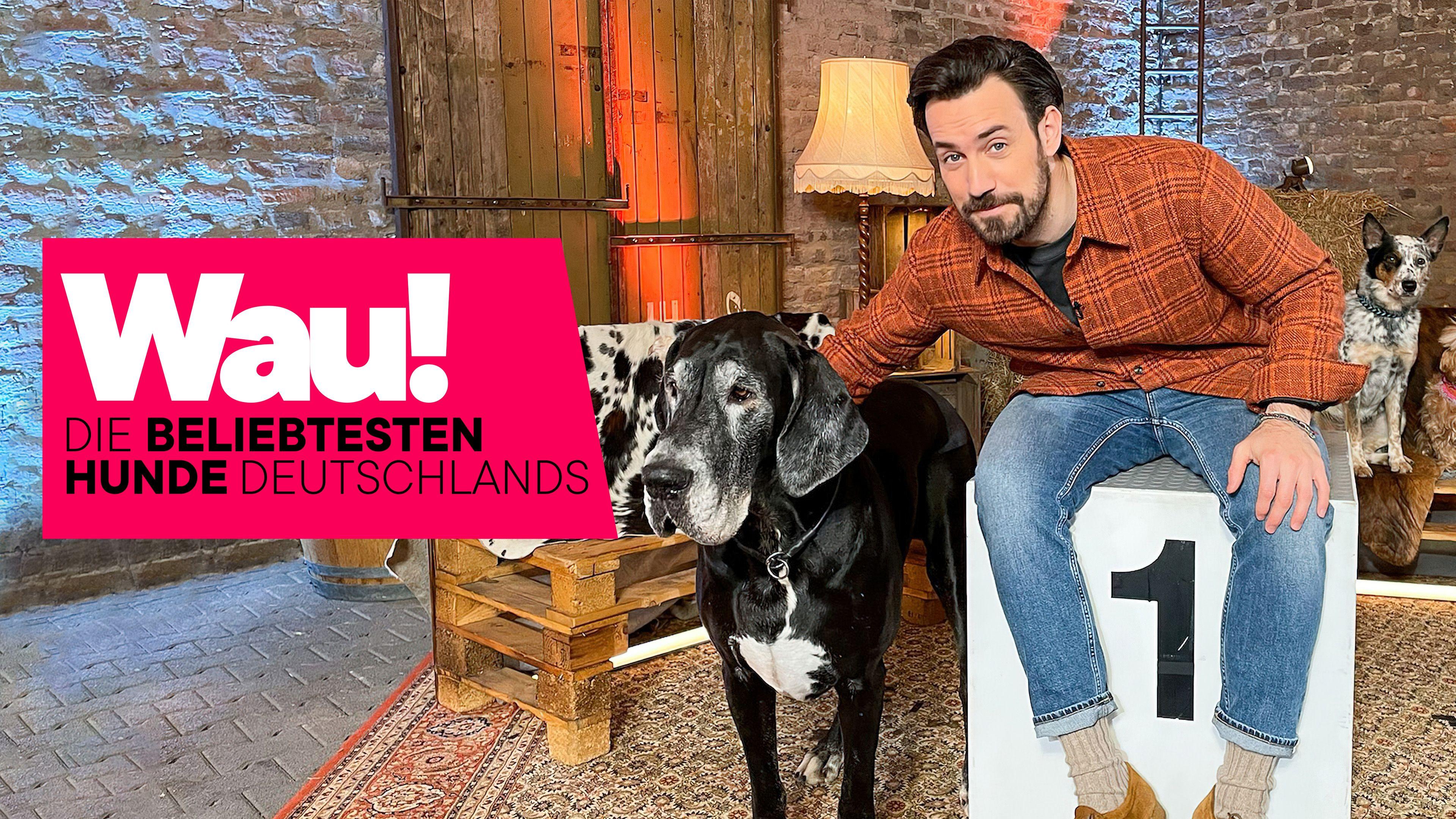 Wau! Die beliebtesten Hunde Deutschlands