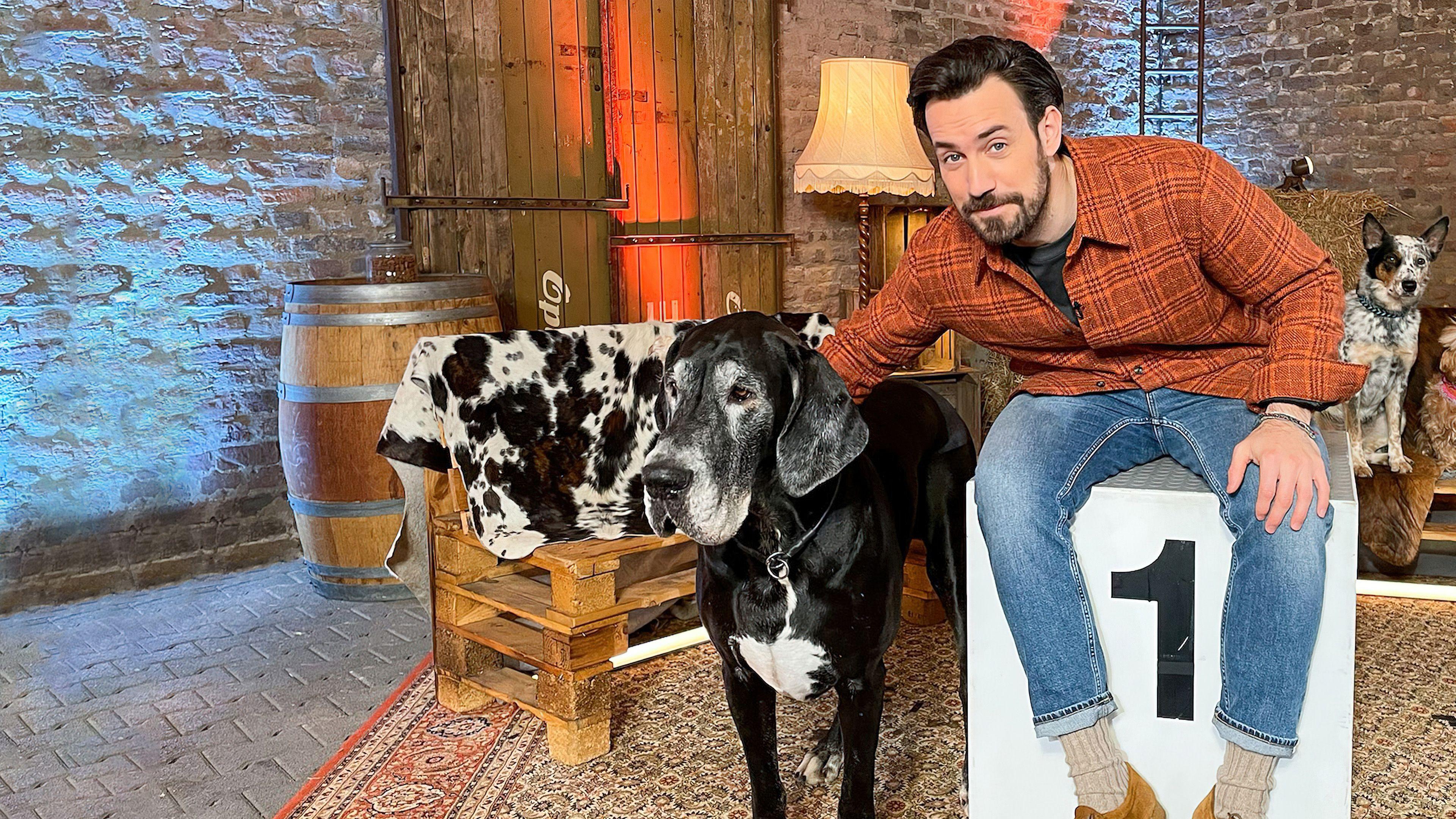 Wau! Die beliebtesten Hunde Deutschlands