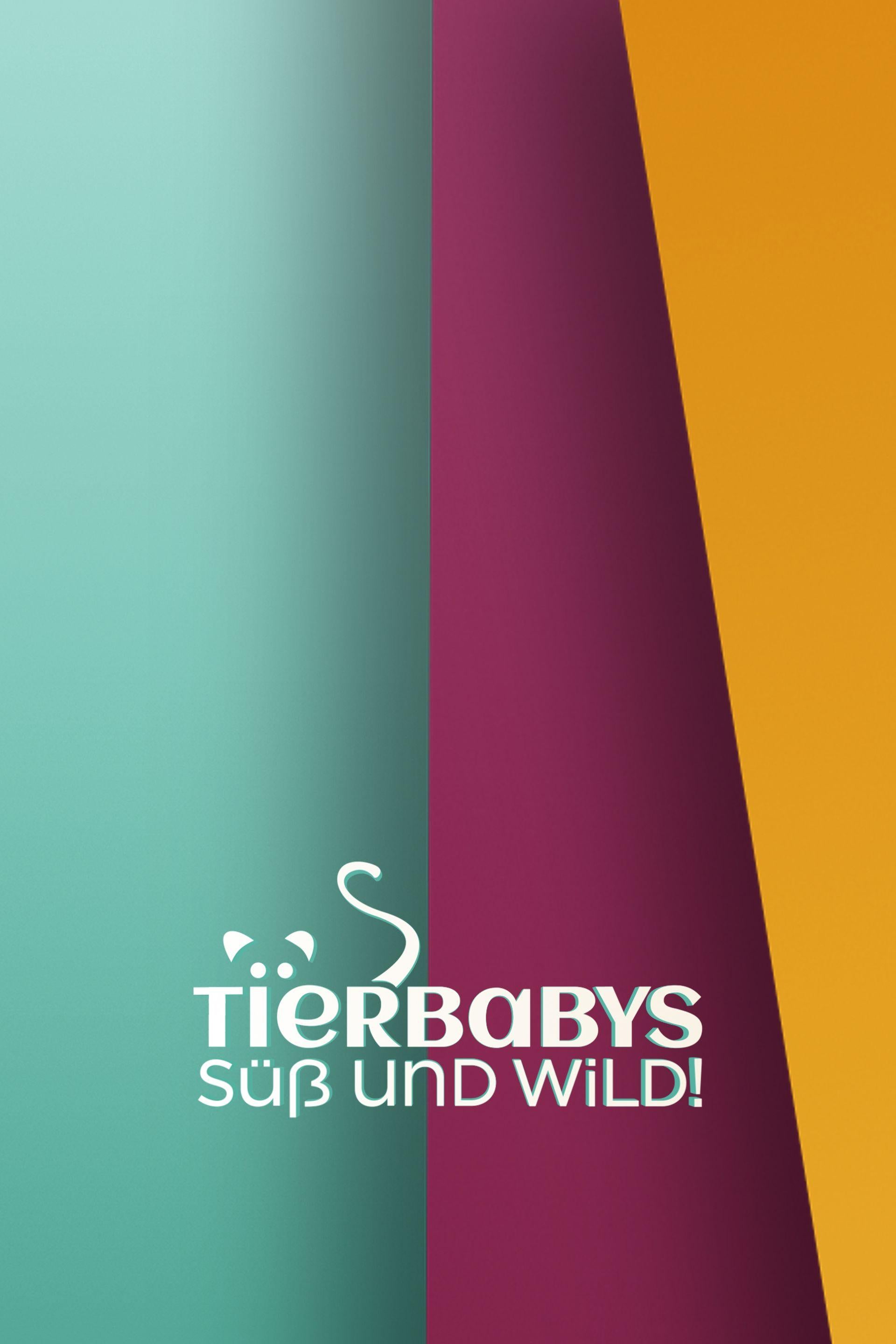 Tierbabys - süß und wild!