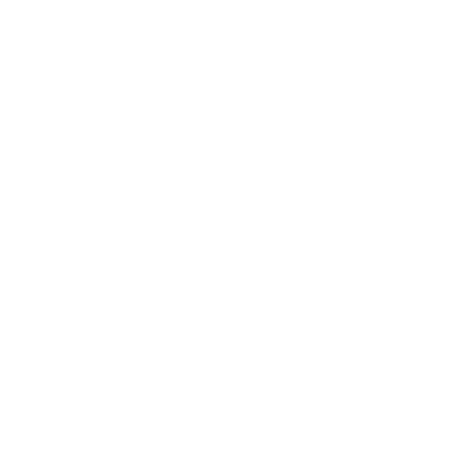 Das 24-Stunden-Rennen  von Le Mans