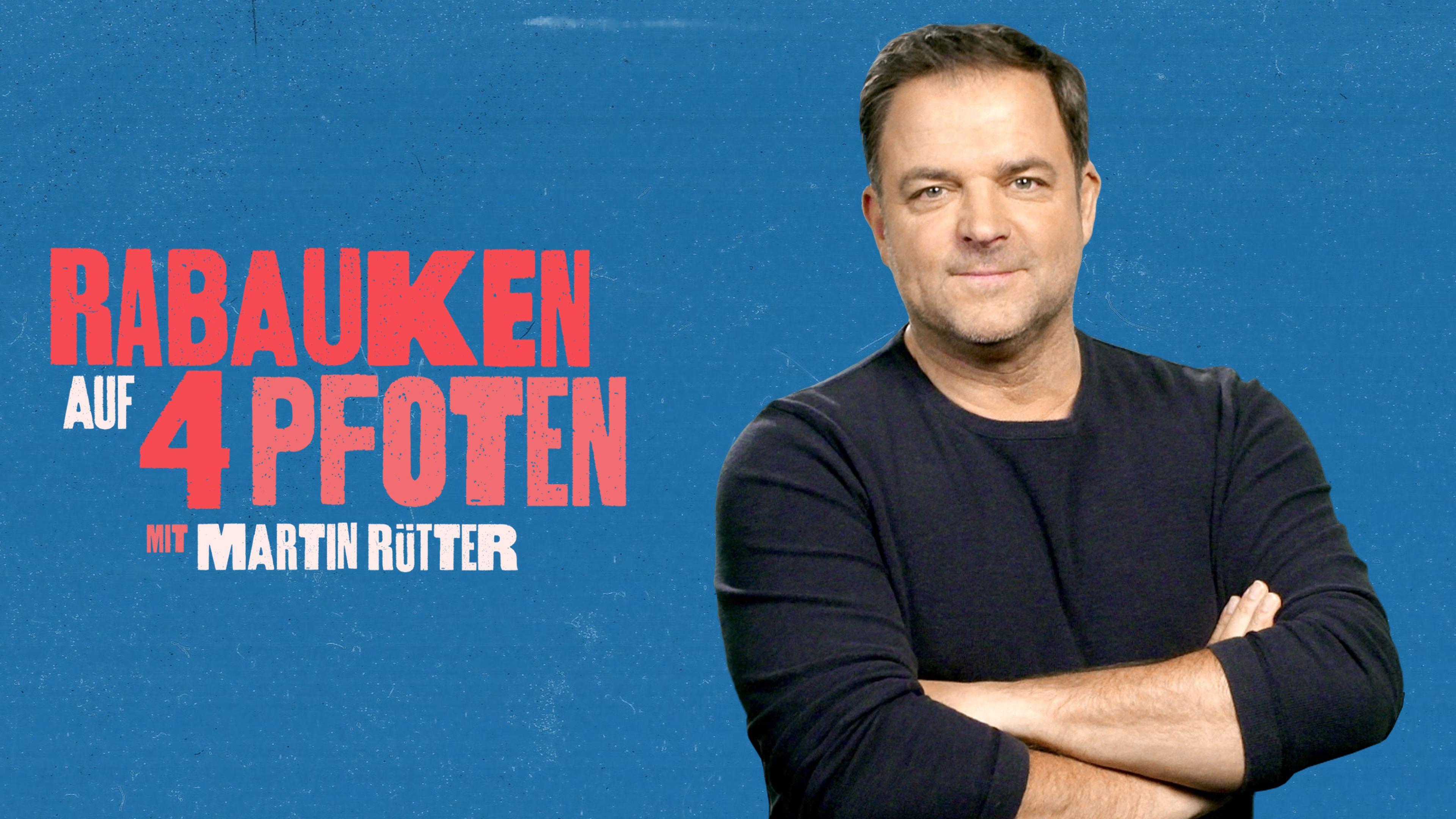 Rabauken auf 4 Pfoten - Mit Martin Rütter