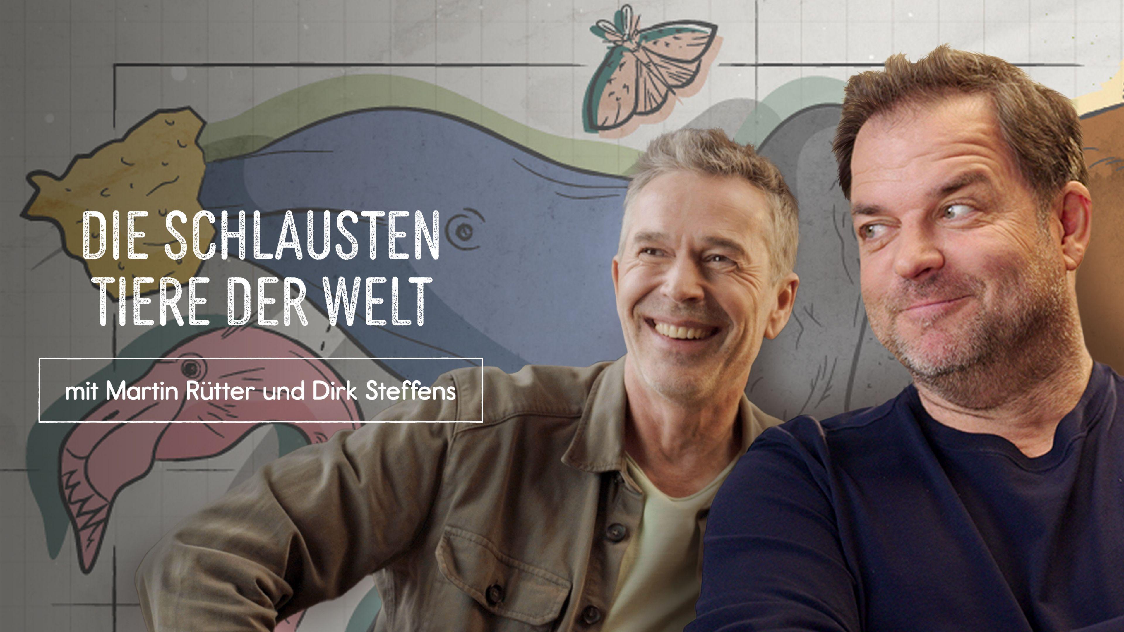 Die schlausten Tiere der Welt mit Martin Rütter und Dirk Steffens